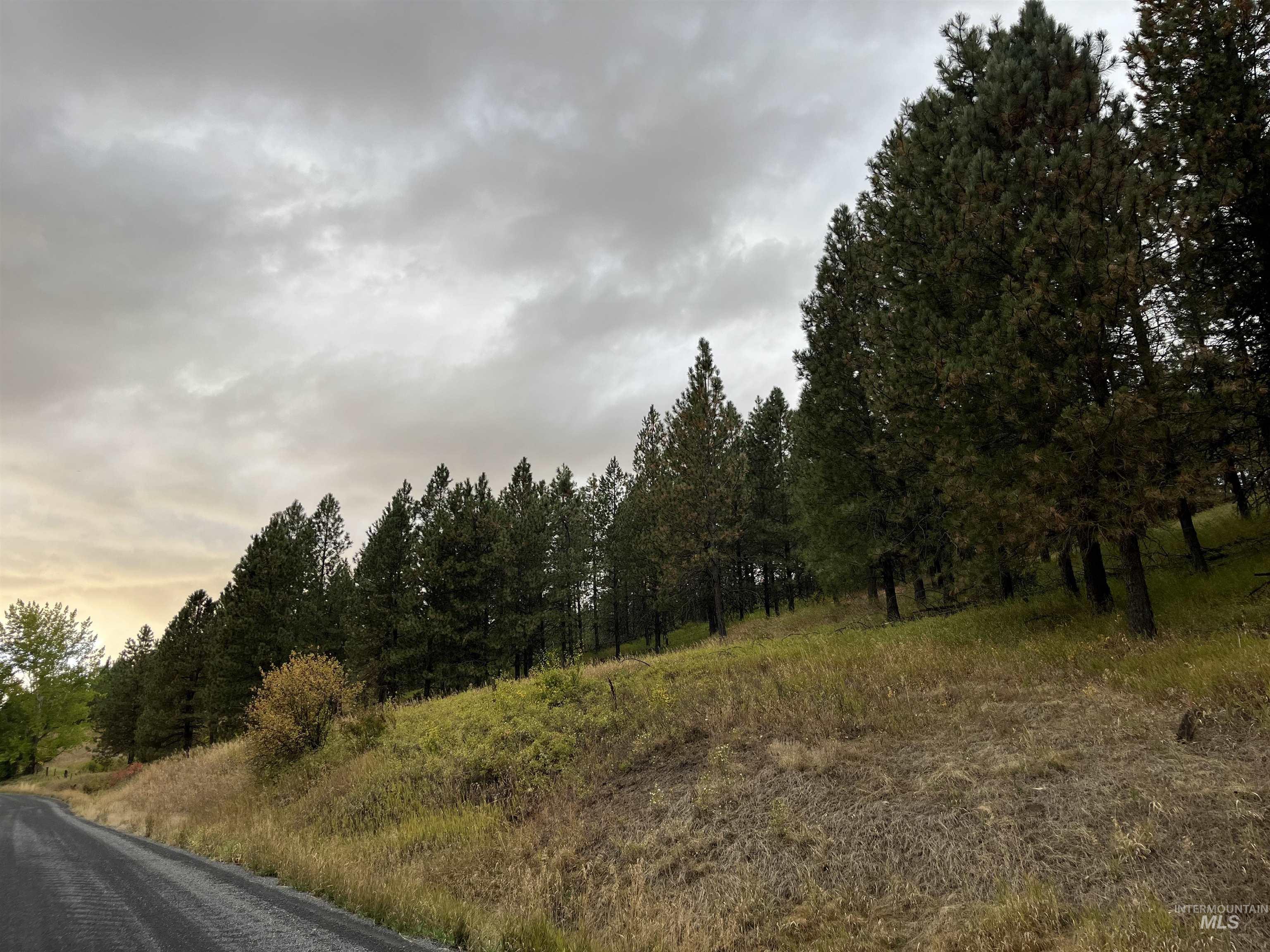 TBD Wallen Road, Moscow, Idaho 83843, Land For Sale, Price $350,000,MLS 99002018