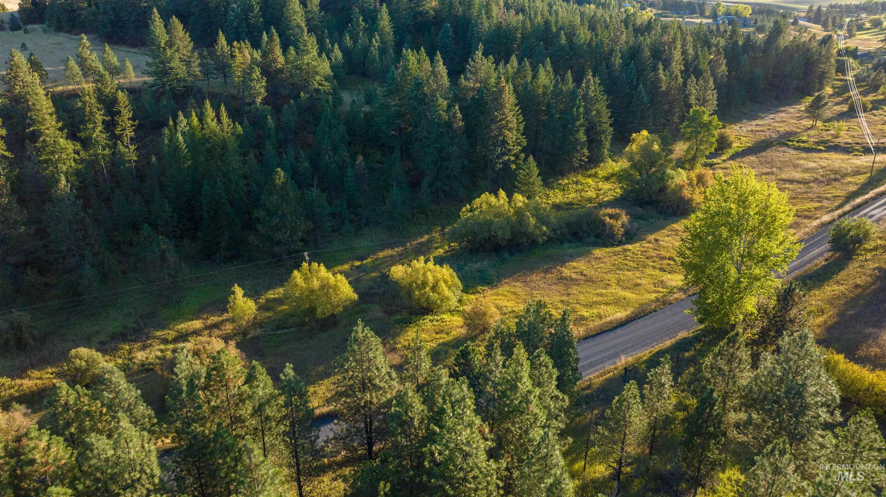 TBD Wallen Road, Moscow, Idaho 83843, Land For Sale, Price $350,000,MLS 99002018