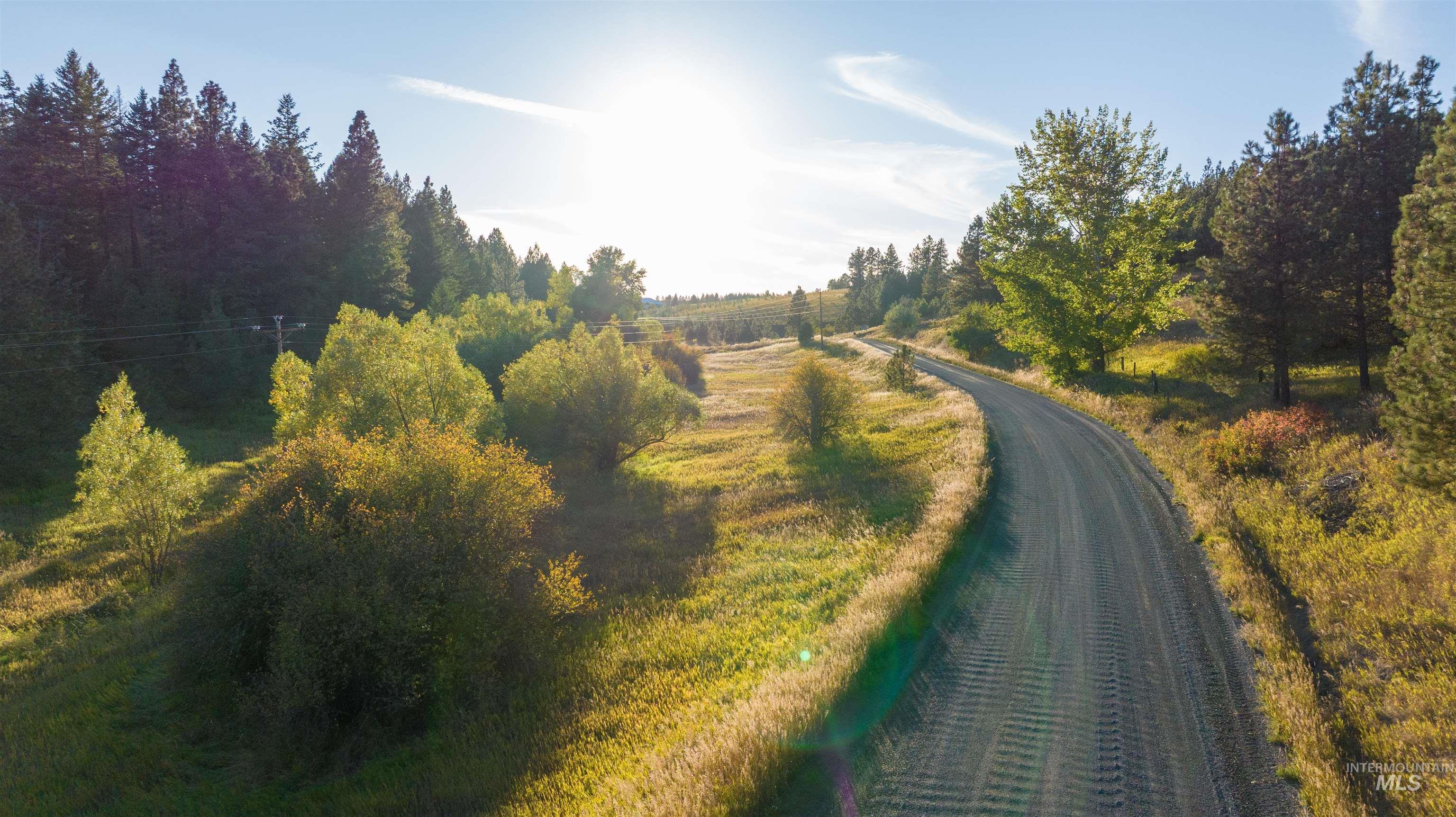 TBD Wallen Road, Moscow, Idaho 83843, Land For Sale, Price $350,000,MLS 99002018
