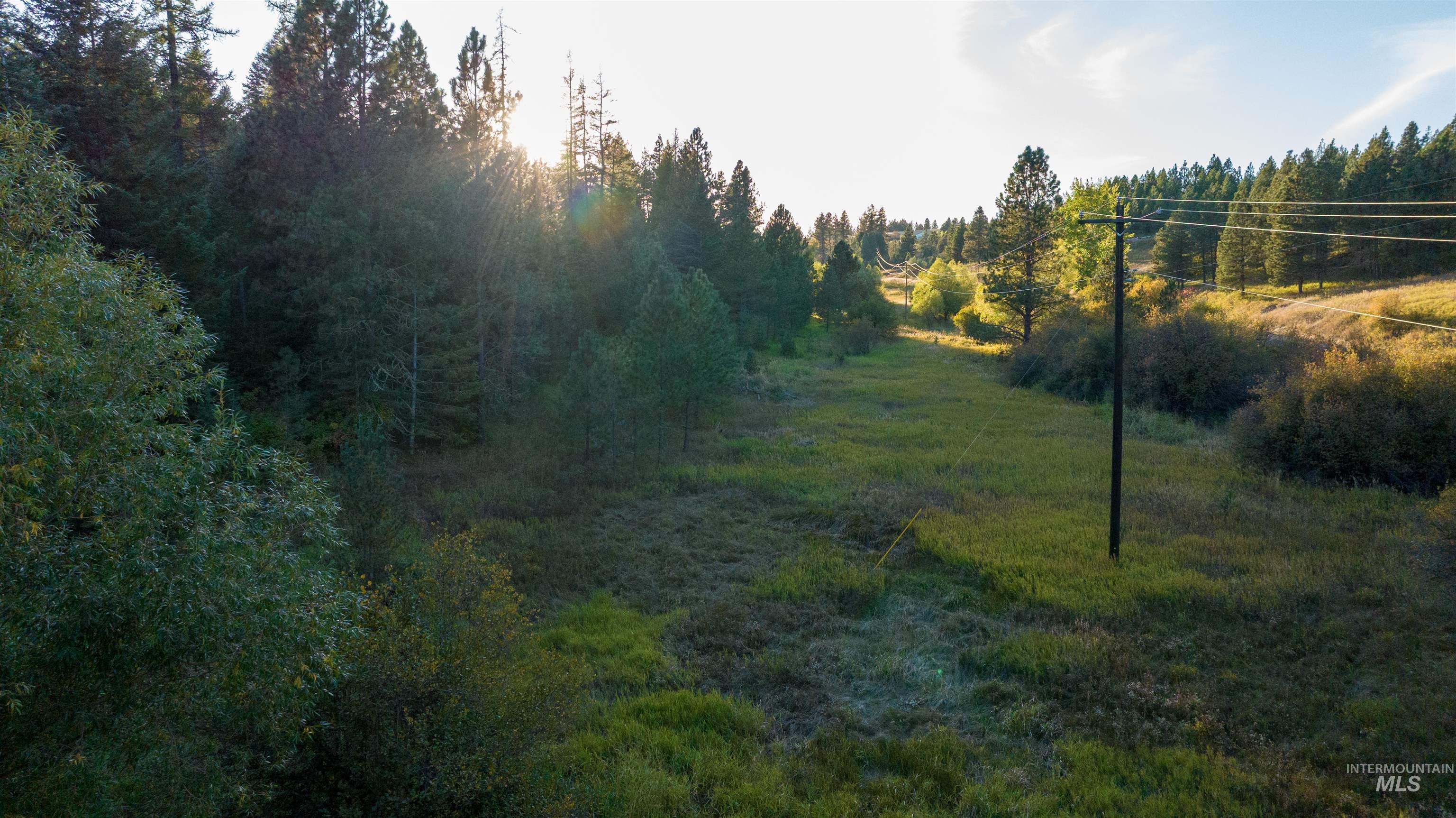 TBD Wallen Road, Moscow, Idaho 83843, Land For Sale, Price $350,000,MLS 99002018