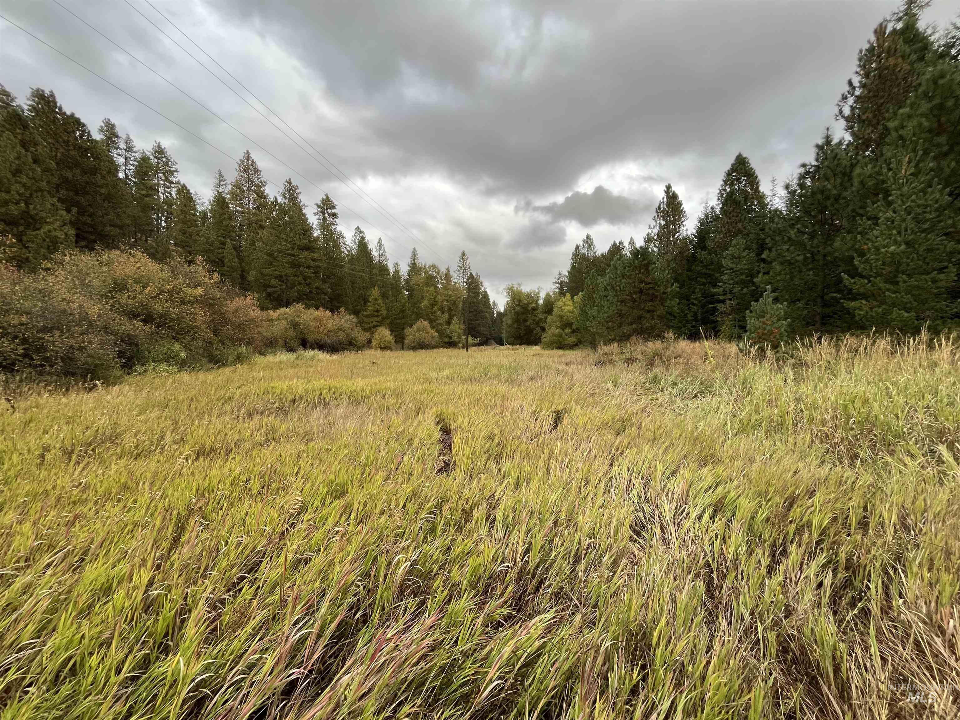 TBD Wallen Road, Moscow, Idaho 83843, Land For Sale, Price $350,000,MLS 99002018