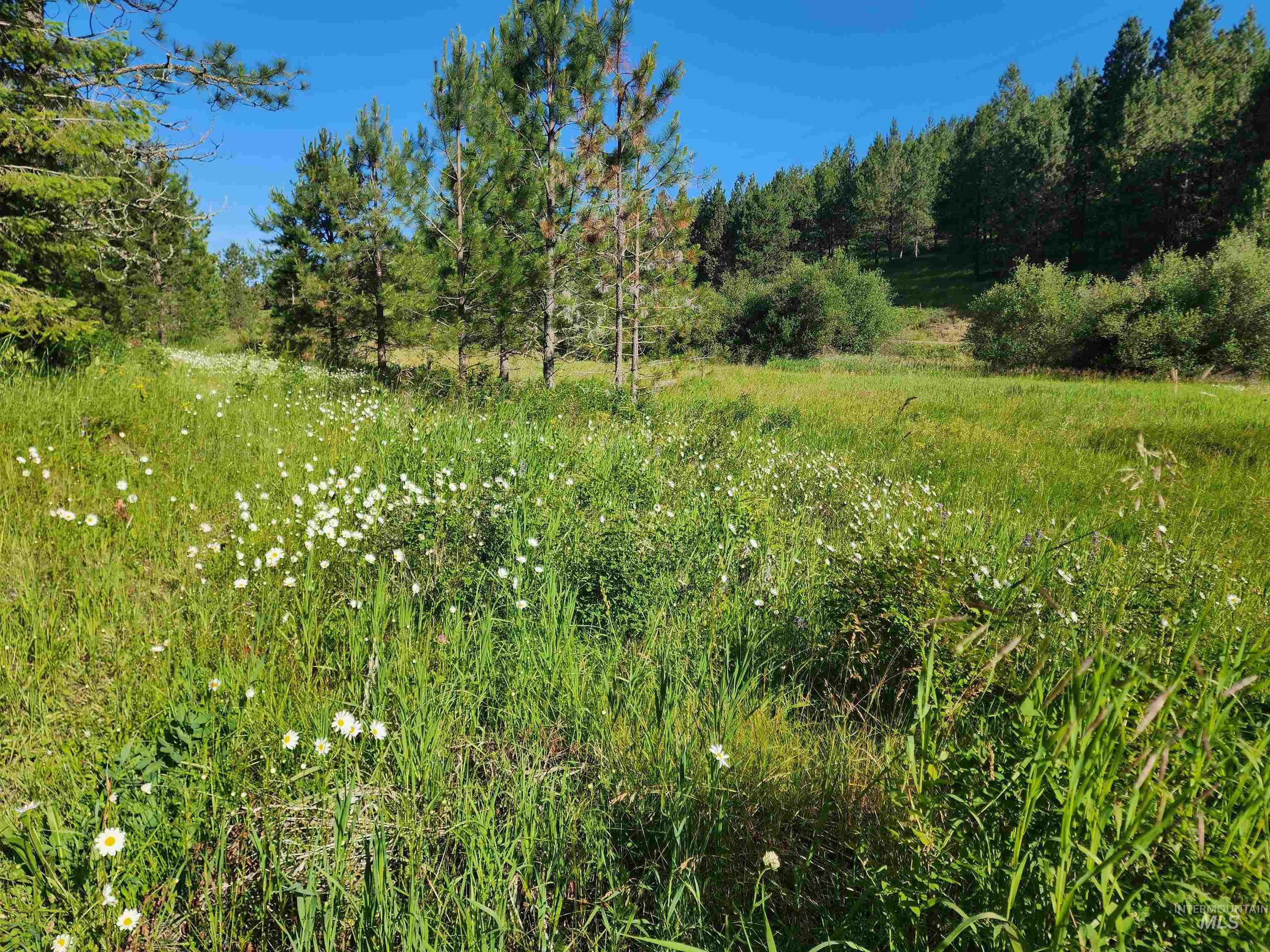 TBD Wallen Road, Moscow, Idaho 83843, Land For Sale, Price $350,000,MLS 99002018