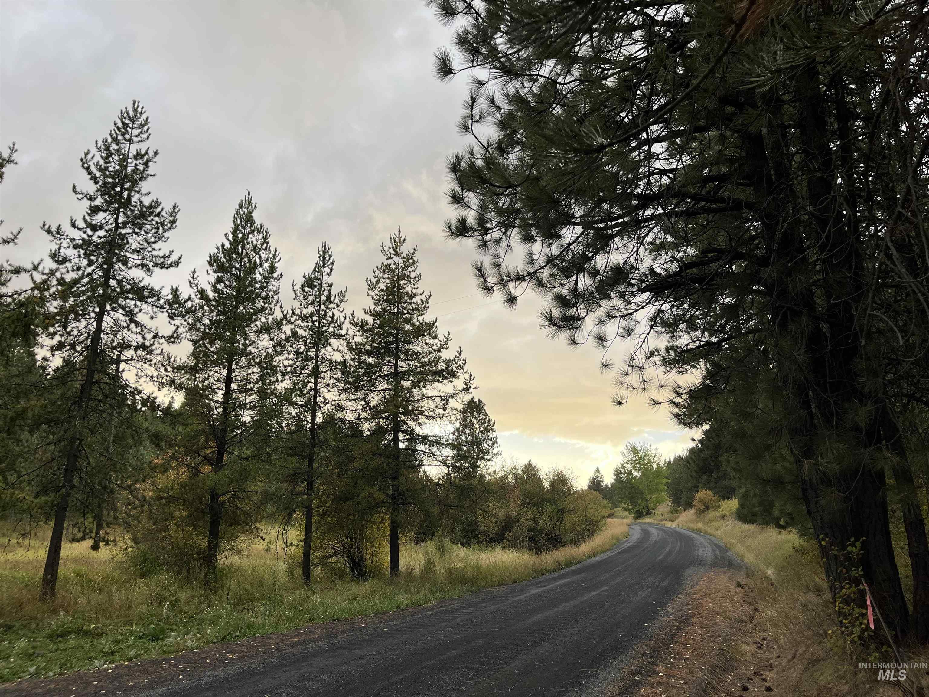 TBD Wallen Road, Moscow, Idaho 83843, Land For Sale, Price $350,000,MLS 99002018