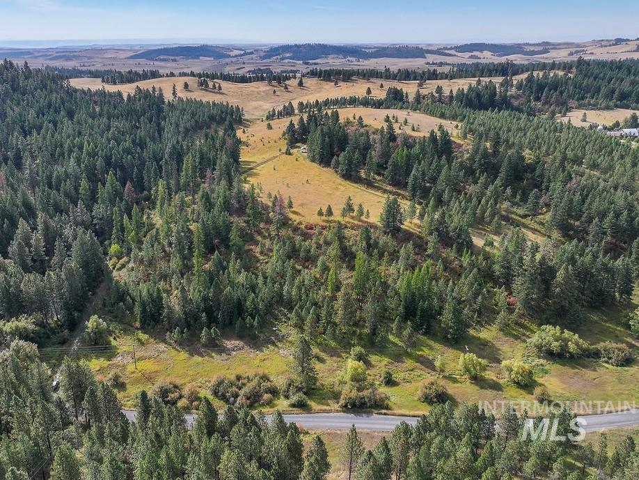 TBD Wallen Road, Moscow, Idaho 83843, Land For Sale, Price $350,000,MLS 99002018