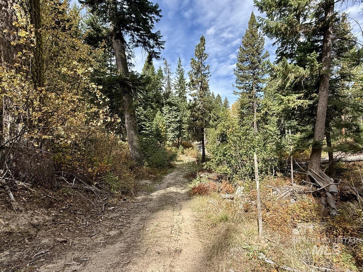10 Crocus Court, Cascade, Idaho 83611, Land For Sale, Price $98,000,MLS 99002198