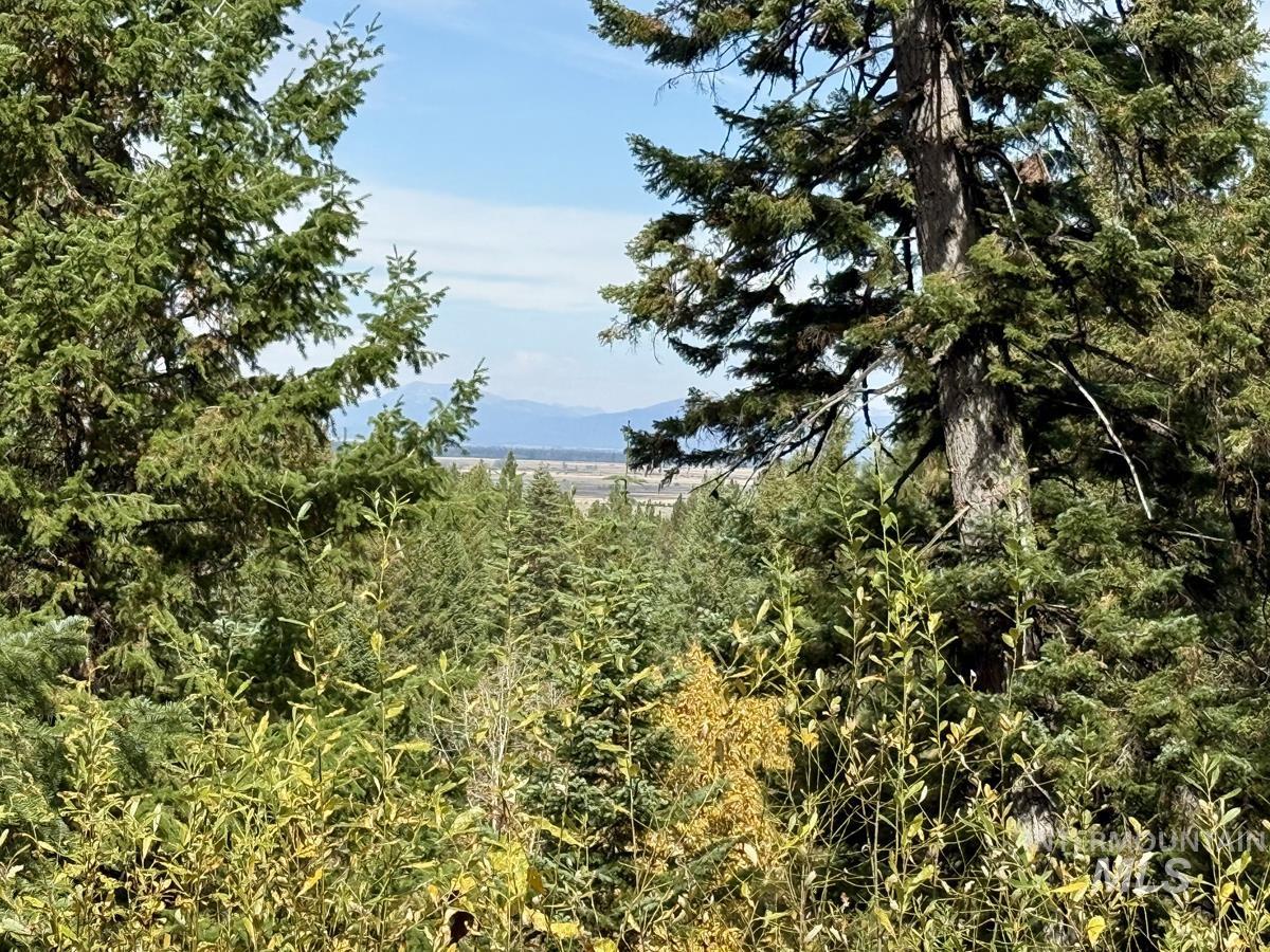 10 Crocus Court, Cascade, Idaho 83611, Land For Sale, Price $98,000,MLS 99002198