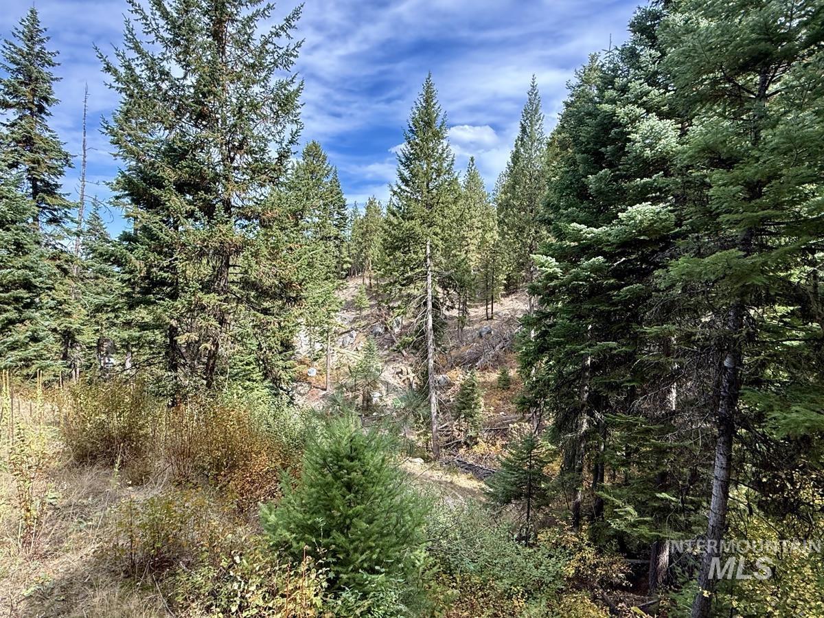 10 Crocus Court, Cascade, Idaho 83611, Land For Sale, Price $98,000,MLS 99002198