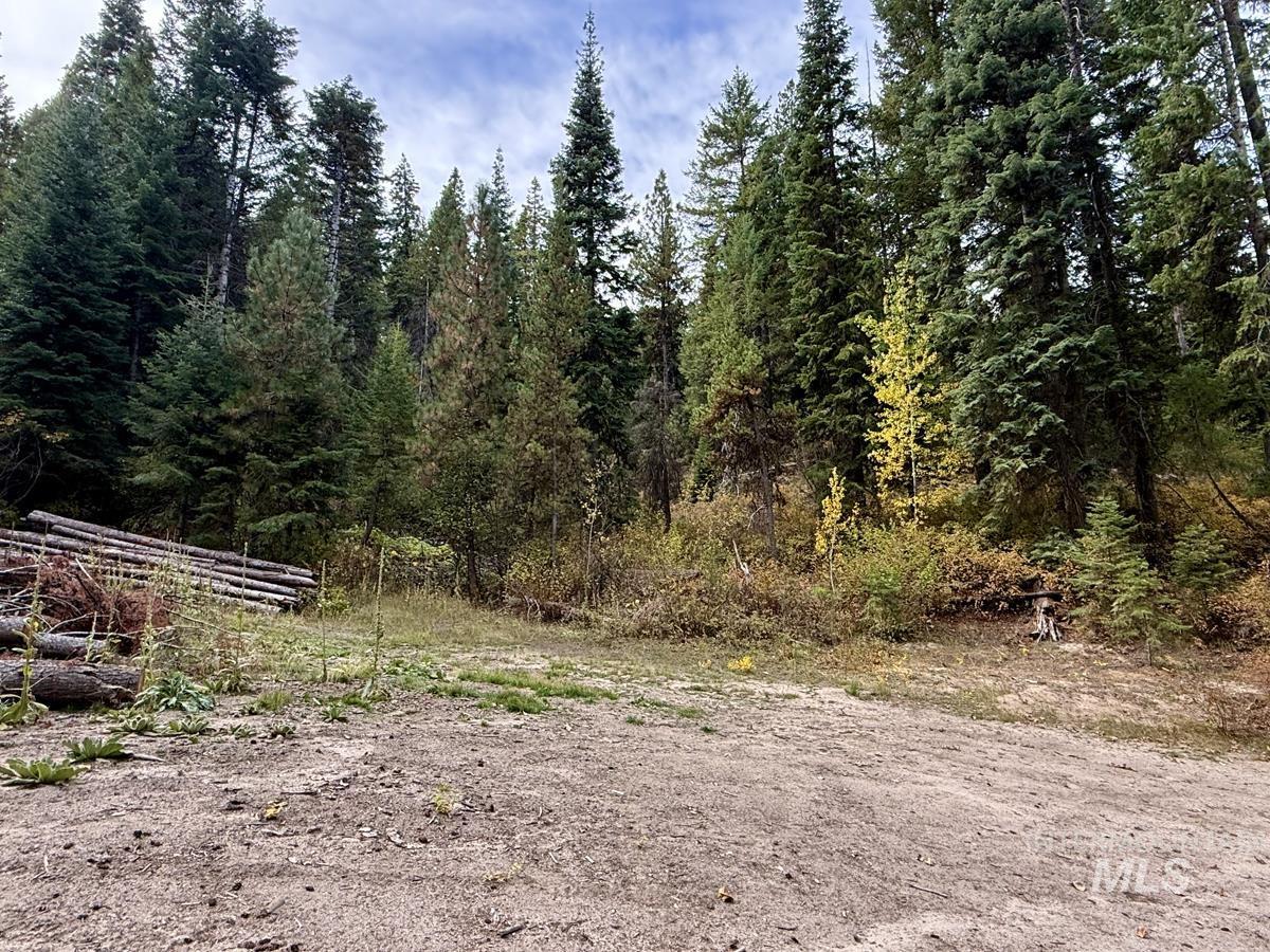 10 Crocus Court, Cascade, Idaho 83611, Land For Sale, Price $98,000,MLS 99002198