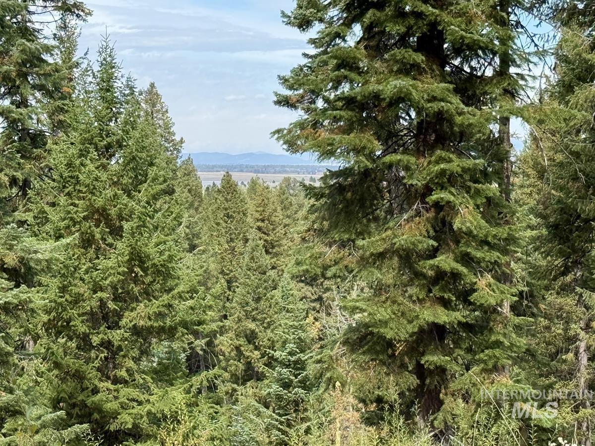 10 Crocus Court, Cascade, Idaho 83611, Land For Sale, Price $98,000,MLS 99002198