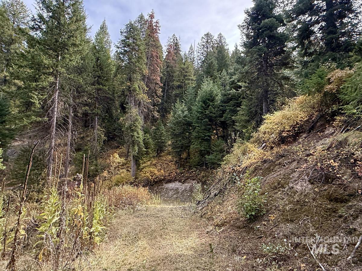 10 Crocus Court, Cascade, Idaho 83611, Land For Sale, Price $98,000,MLS 99002198