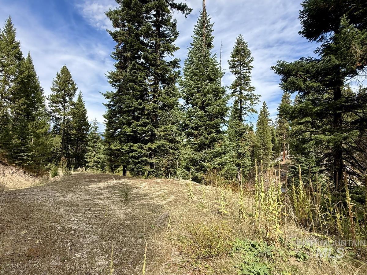 10 Crocus Court, Cascade, Idaho 83611, Land For Sale, Price $98,000,MLS 99002198