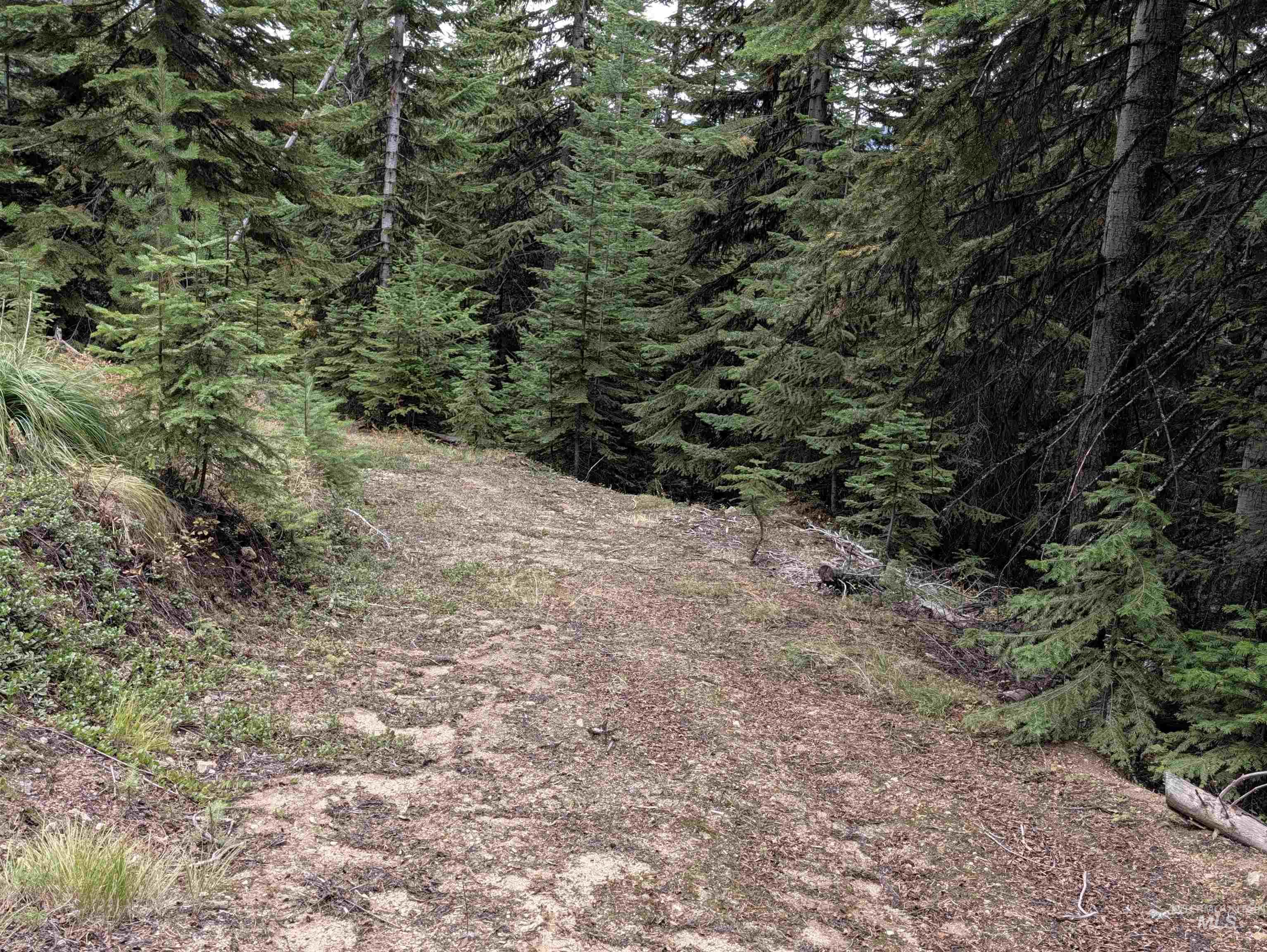 524 Rhett Creek Road, Dixie, Idaho 83525, 1 Bedroom, Residential For Sale, Price $350,000,MLS 99002207