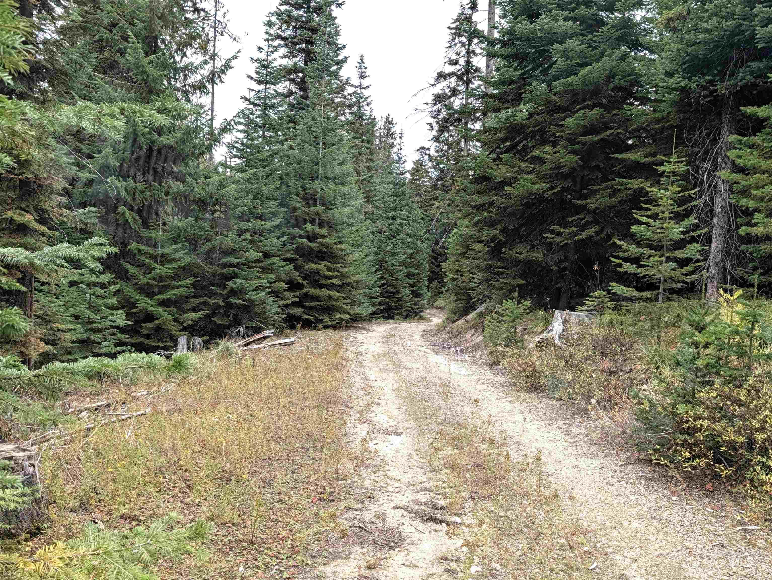 524 Rhett Creek Road, Dixie, Idaho 83525, 1 Bedroom, Residential For Sale, Price $350,000,MLS 99002207