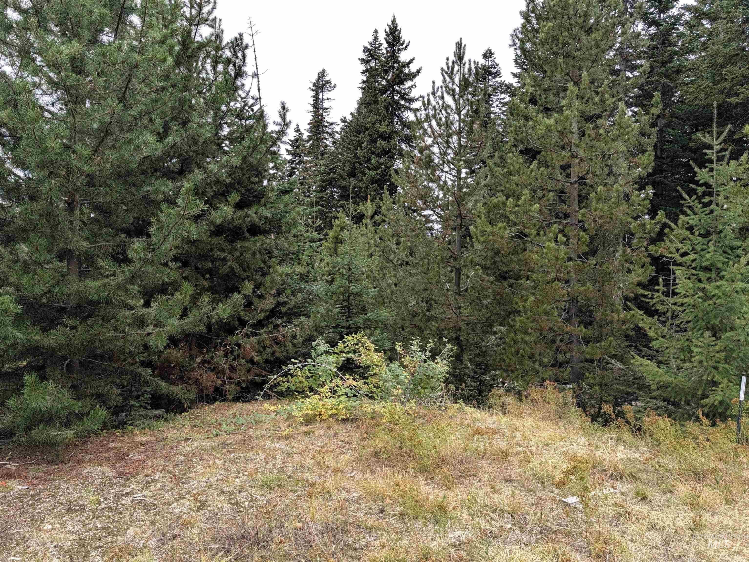 524 Rhett Creek Road, Dixie, Idaho 83525, 1 Bedroom, Residential For Sale, Price $350,000,MLS 99002207