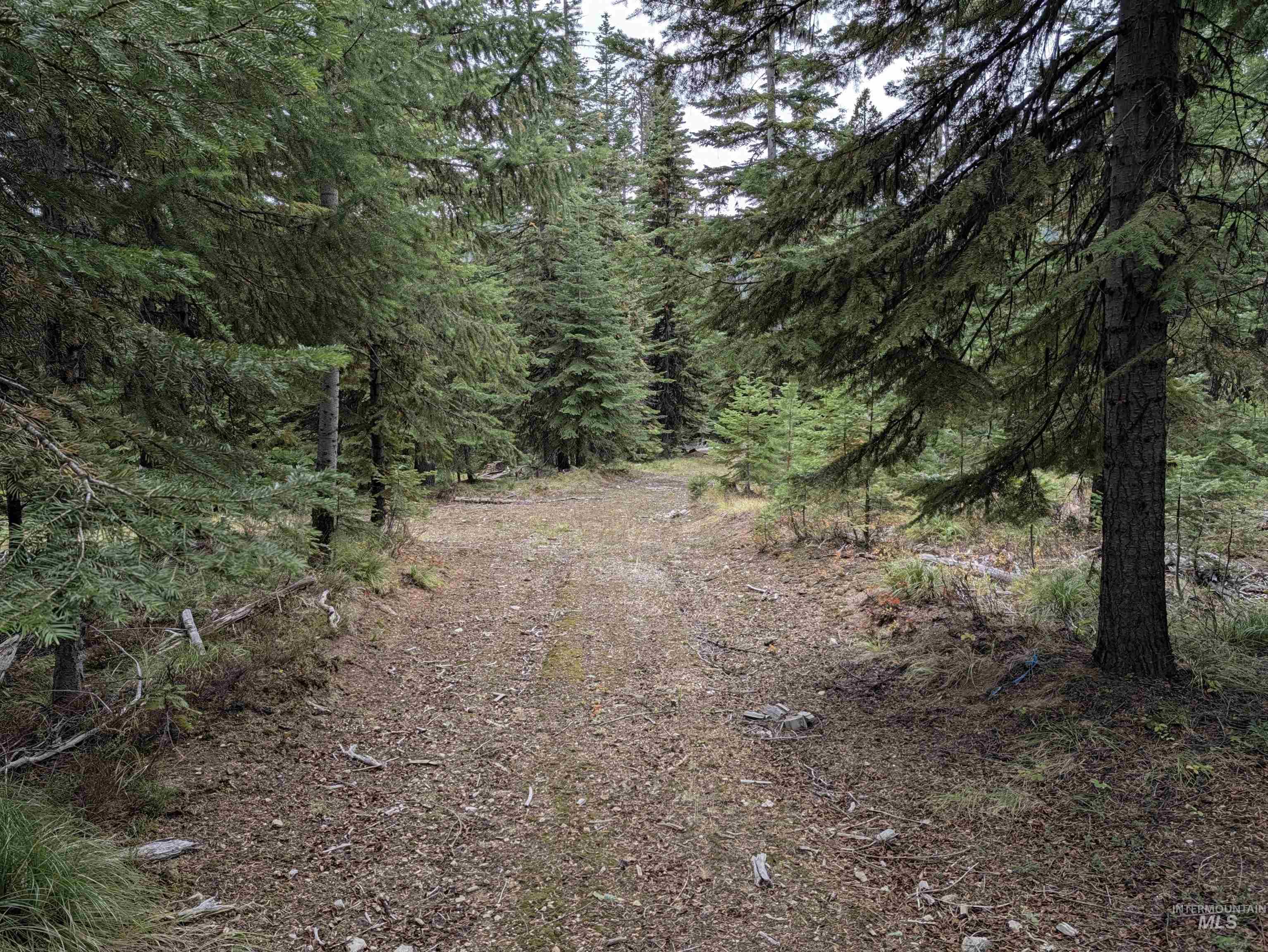 524 Rhett Creek Road, Dixie, Idaho 83525, 1 Bedroom, Residential For Sale, Price $350,000,MLS 99002207
