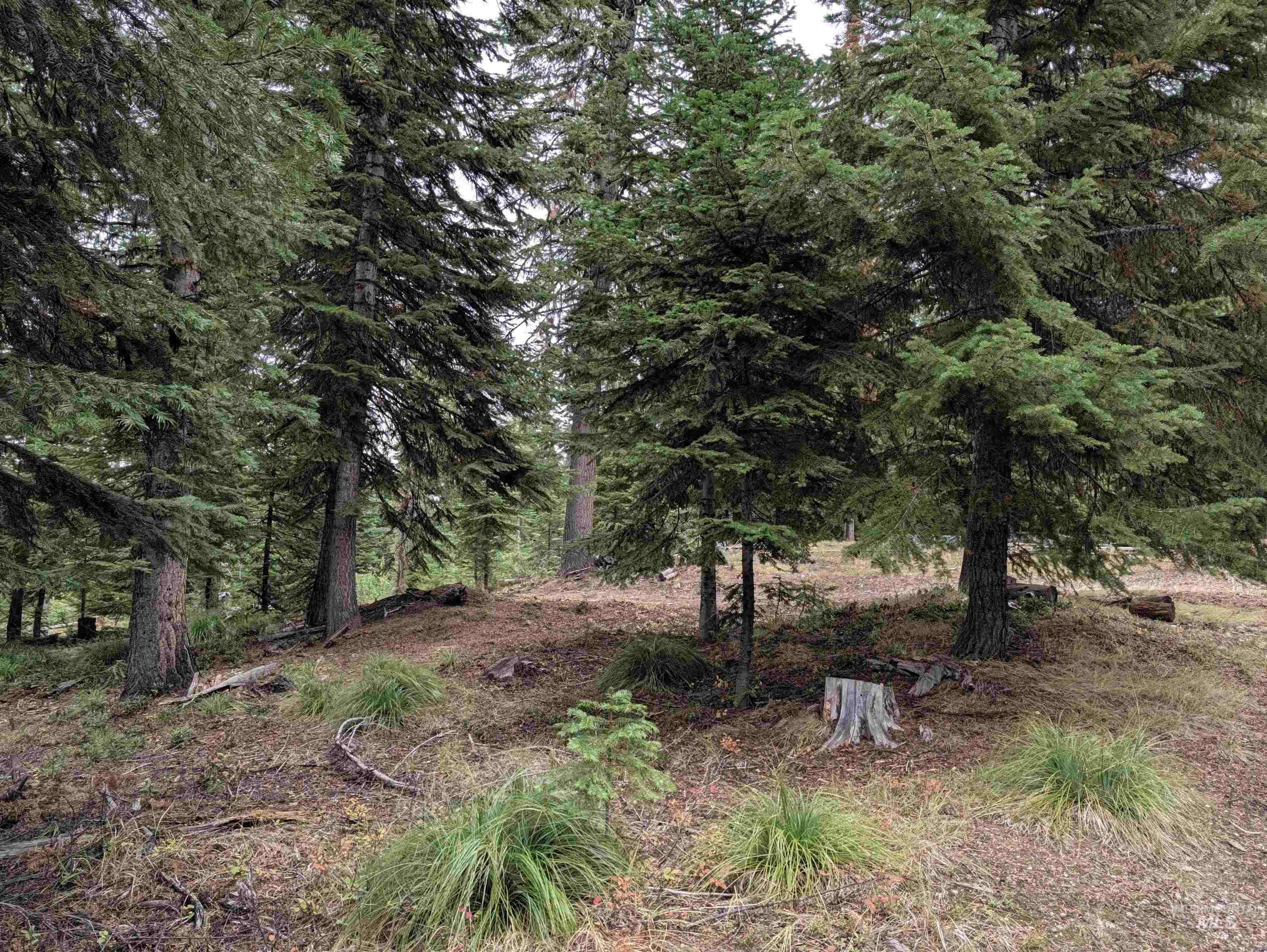 524 Rhett Creek Road, Dixie, Idaho 83525, 1 Bedroom, Residential For Sale, Price $350,000,MLS 99002207