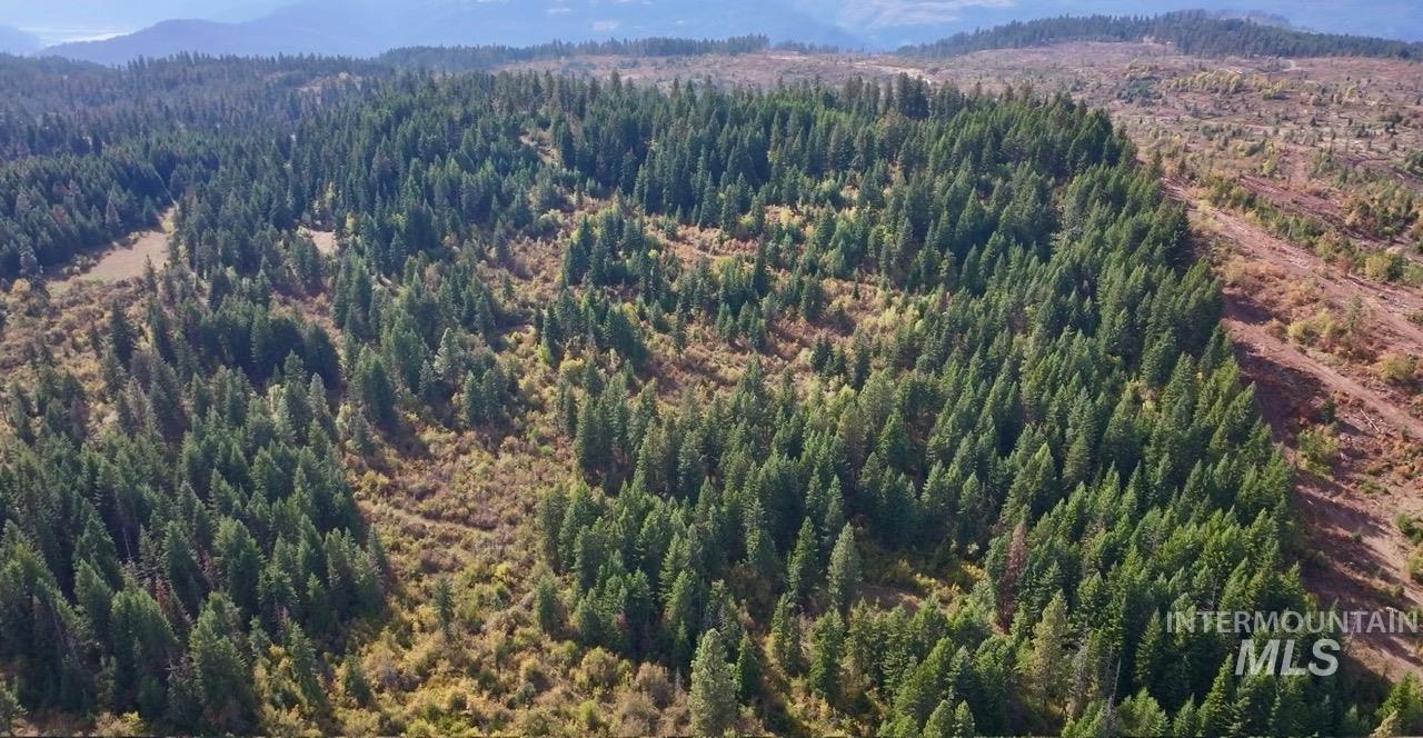 0 Timber Ridge Drive, Orofino, Idaho 83544, Land For Sale, Price $279,000,MLS 99002250