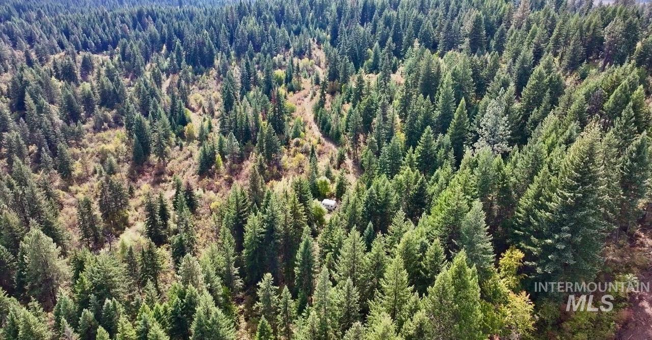 0 Timber Ridge Drive, Orofino, Idaho 83544, Land For Sale, Price $279,000,MLS 99002250