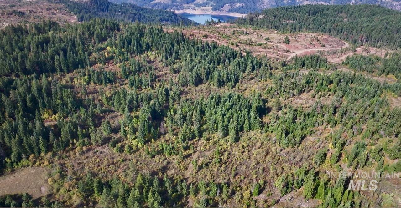 0 Timber Ridge Drive, Orofino, Idaho 83544, Land For Sale, Price $279,000,MLS 99002250