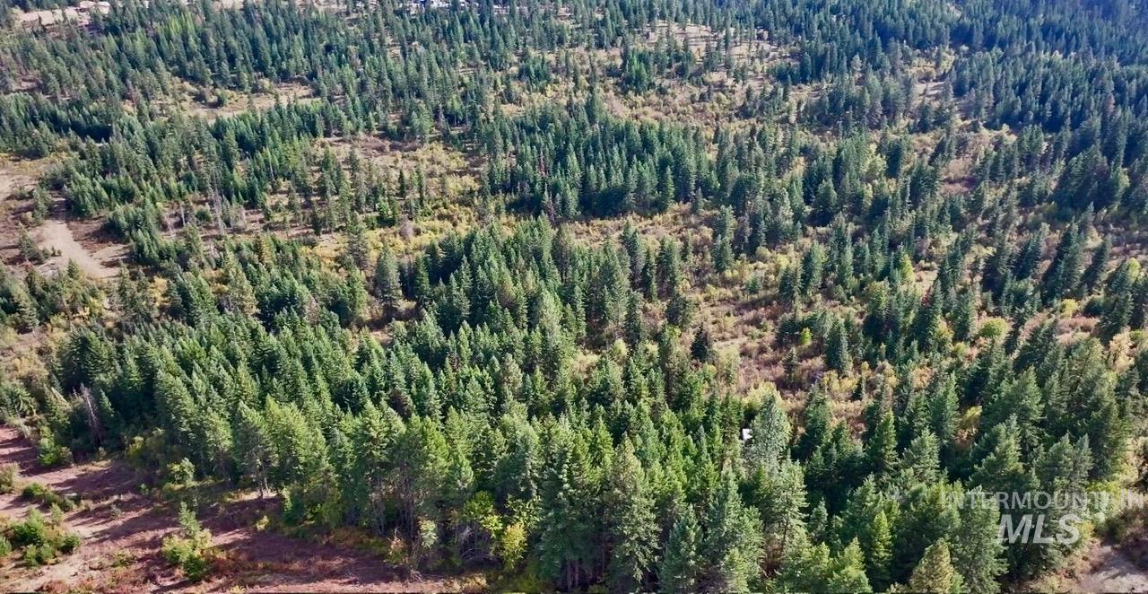 0 Timber Ridge Drive, Orofino, Idaho 83544, Land For Sale, Price $279,000,MLS 99002250