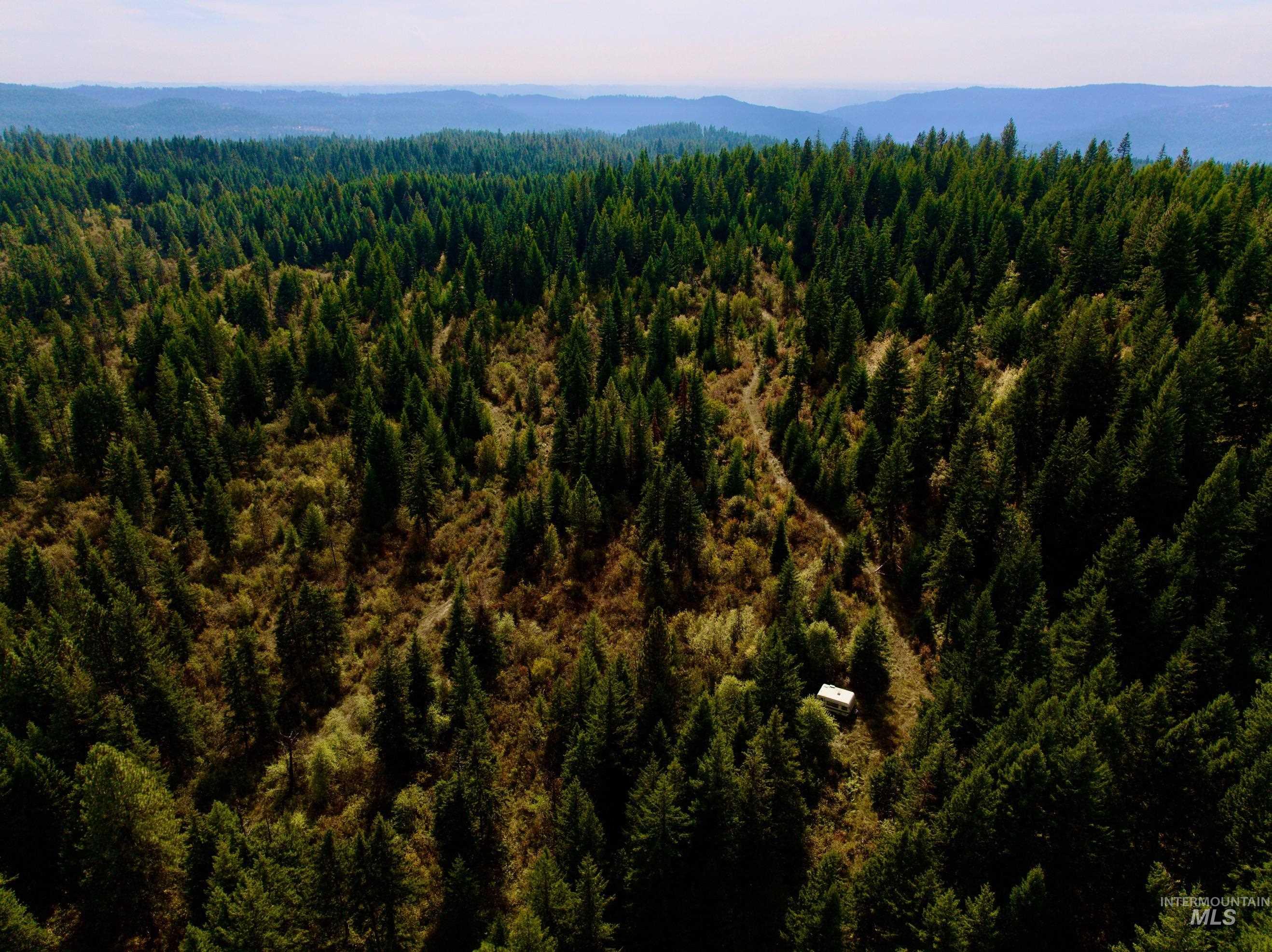 0 Timber Ridge Drive, Orofino, Idaho 83544, Land For Sale, Price $279,000,MLS 99002250