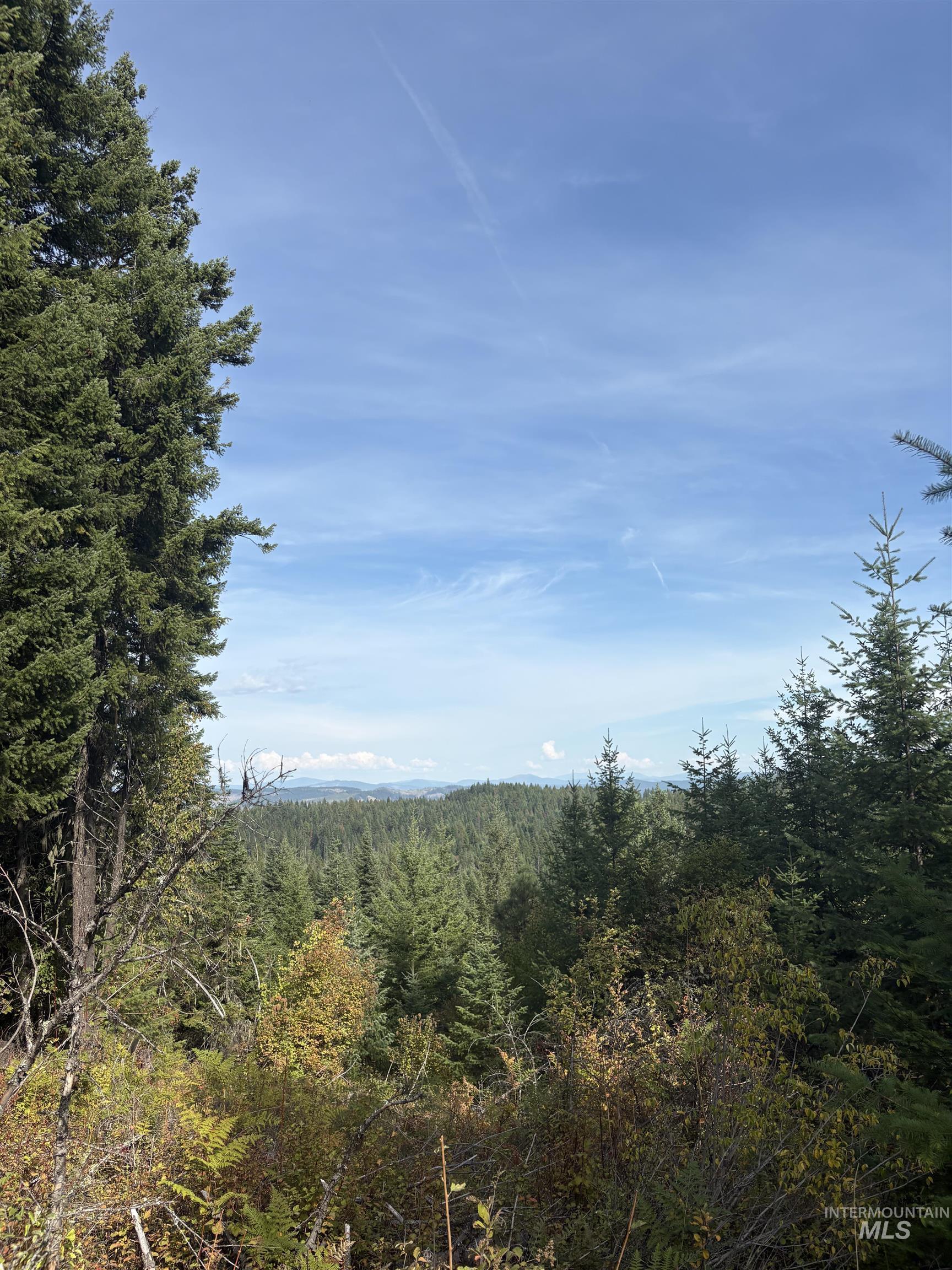 0 Timber Ridge Drive, Orofino, Idaho 83544, Land For Sale, Price $279,000,MLS 99002250