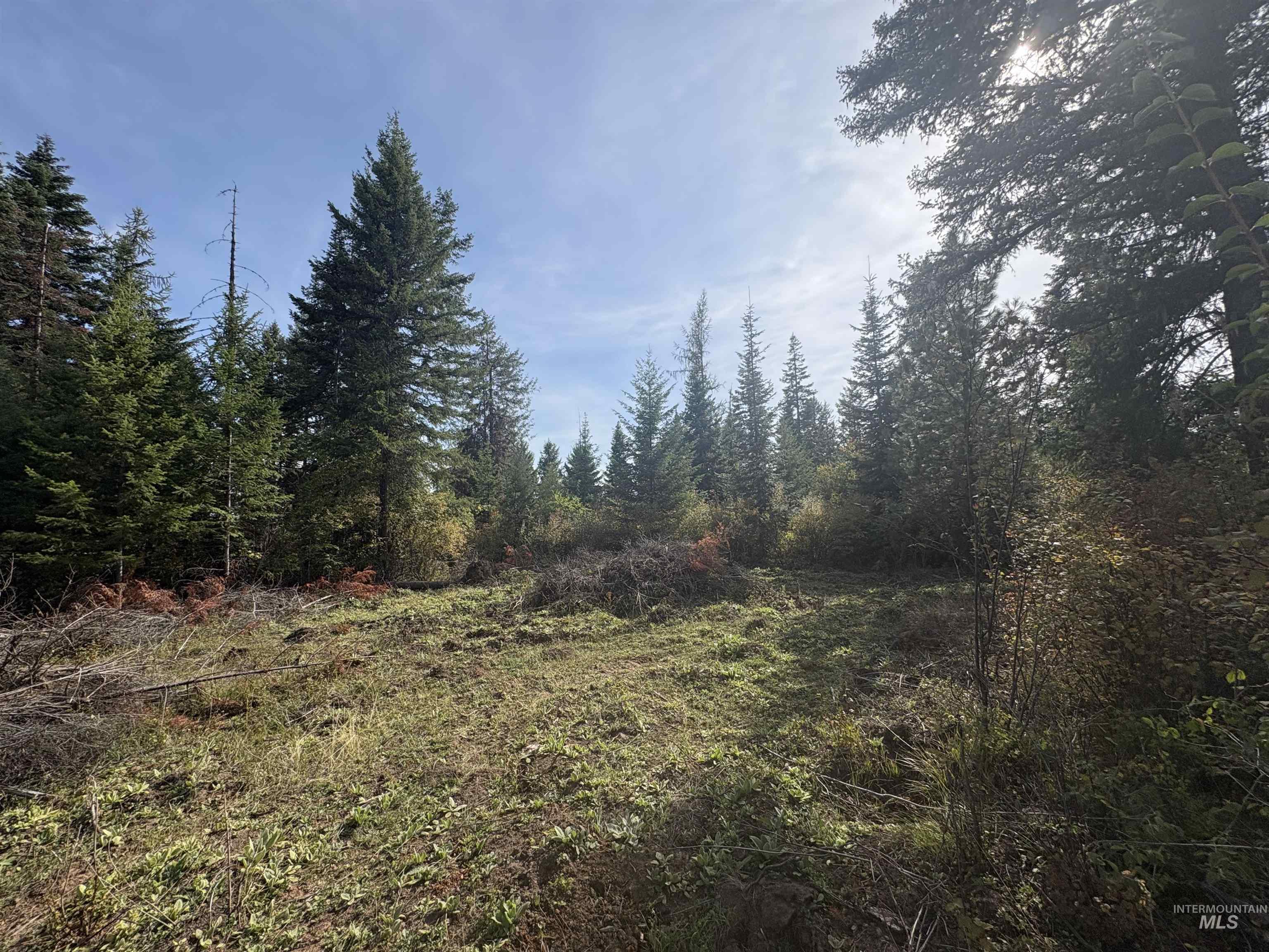 0 Timber Ridge Drive, Orofino, Idaho 83544, Land For Sale, Price $279,000,MLS 99002250