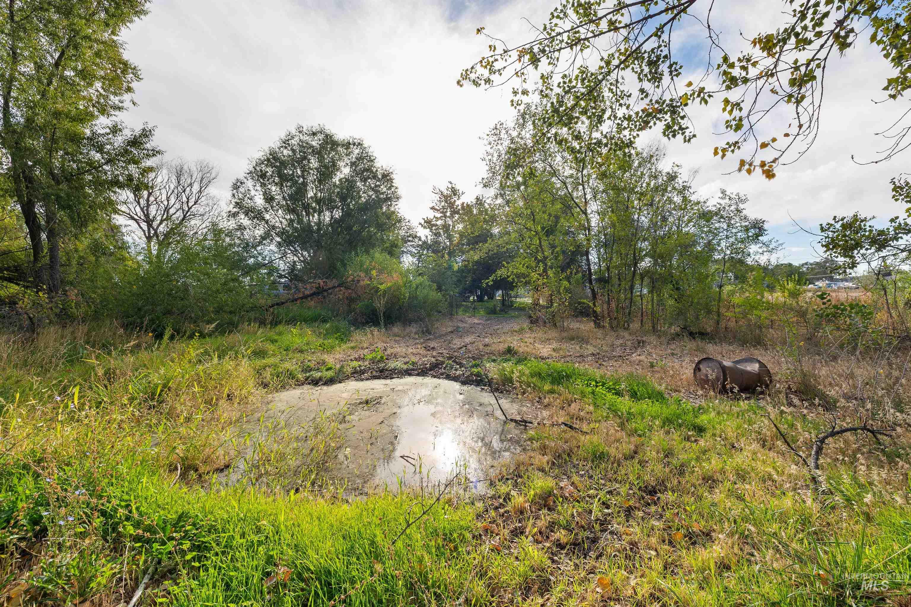 4205 N 1410 E, Buhl, Idaho 83316, 4 Bedrooms, 2 Bathrooms, Residential For Sale, Price $479,000,MLS 99002252