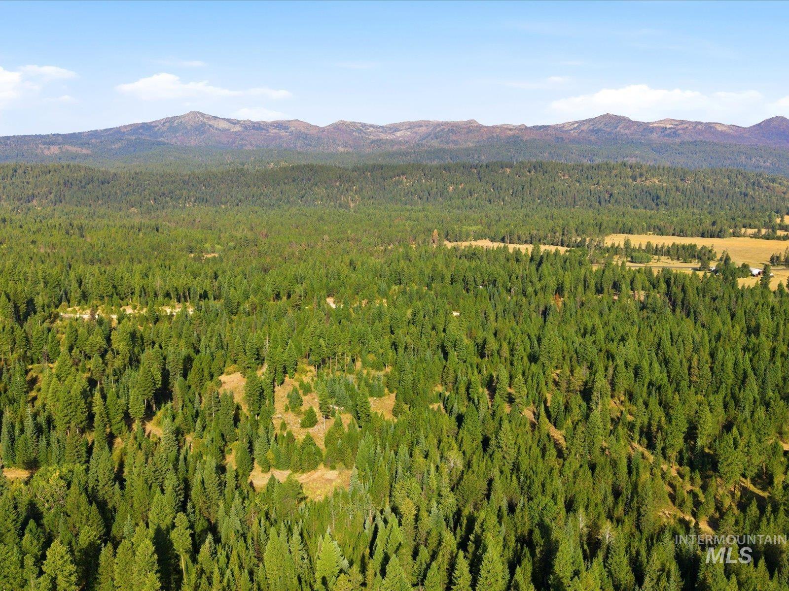 20 Laurins Lane, Cascade, Idaho 83611, Land For Sale, Price $179,000,MLS 99002273