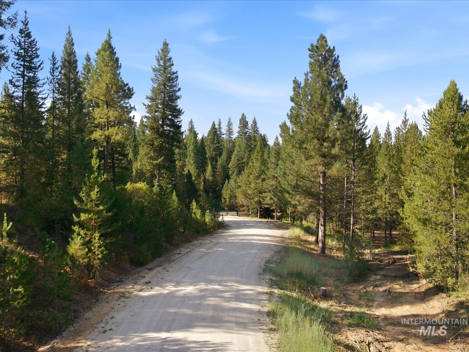 20 Laurins Lane, Cascade, Idaho 83611, Land For Sale, Price $179,000,MLS 99002273