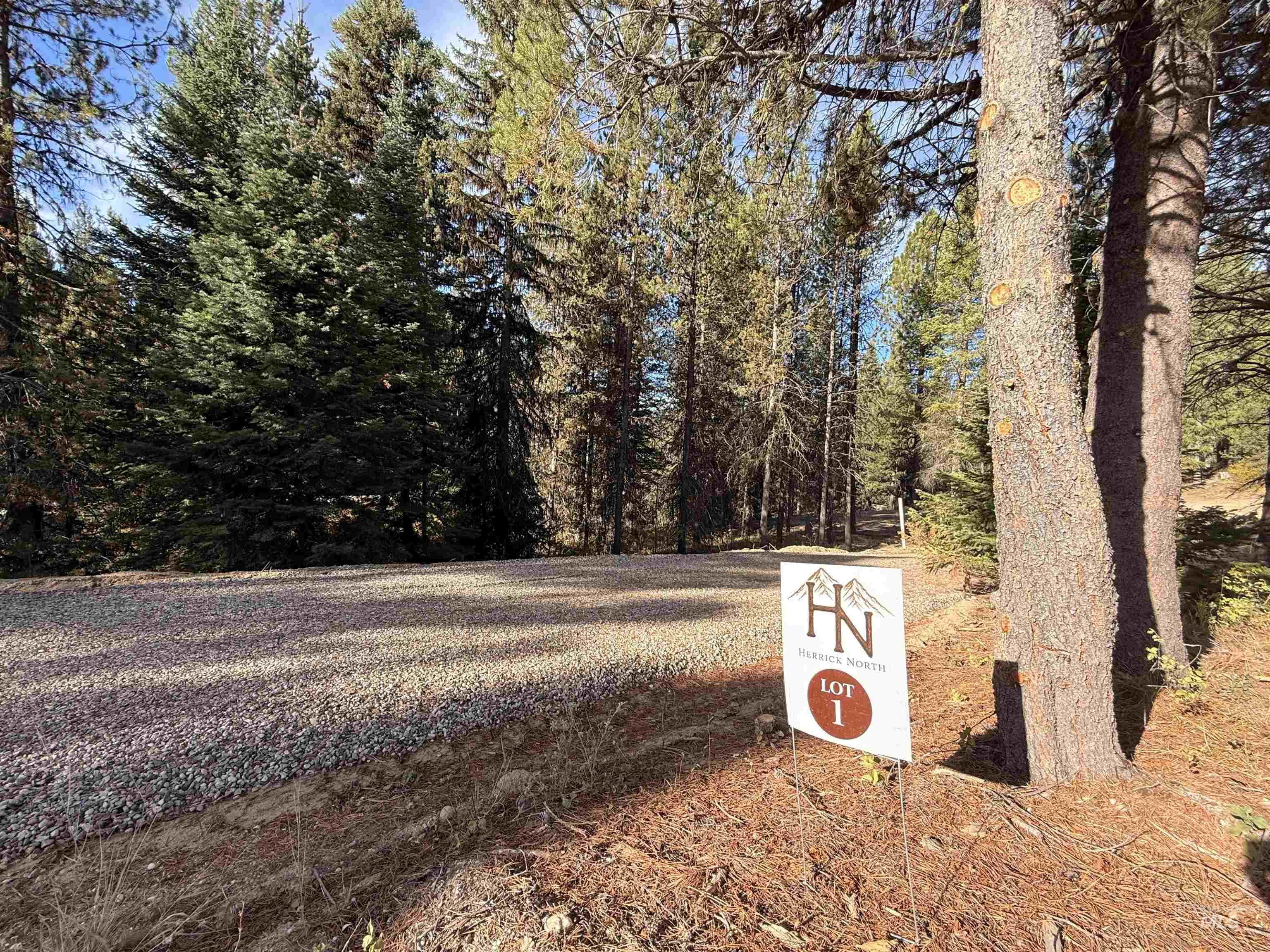 20 Laurins Lane, Cascade, Idaho 83611, Land For Sale, Price $179,000,MLS 99002273