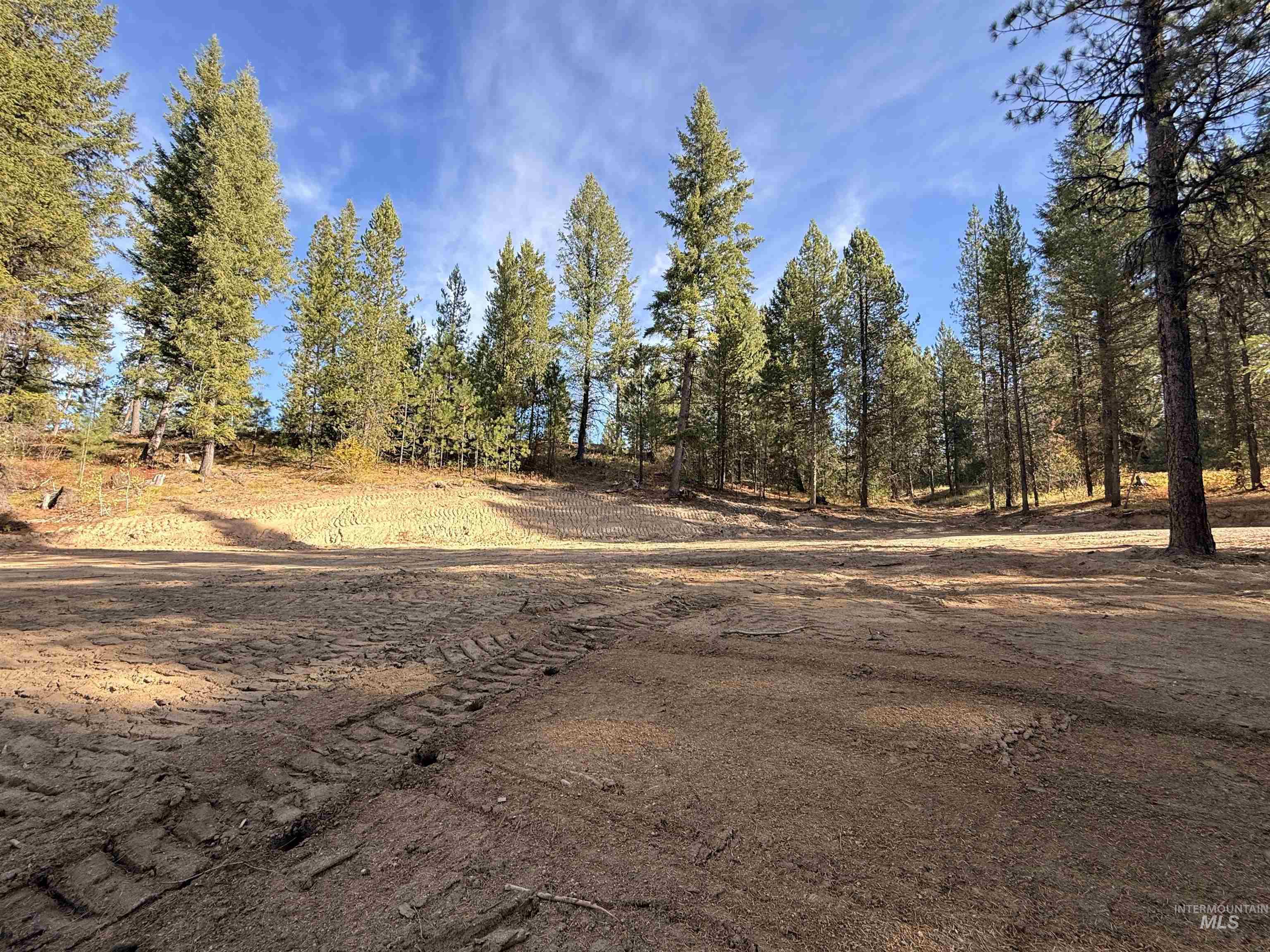 20 Laurins Lane, Cascade, Idaho 83611, Land For Sale, Price $179,000,MLS 99002273