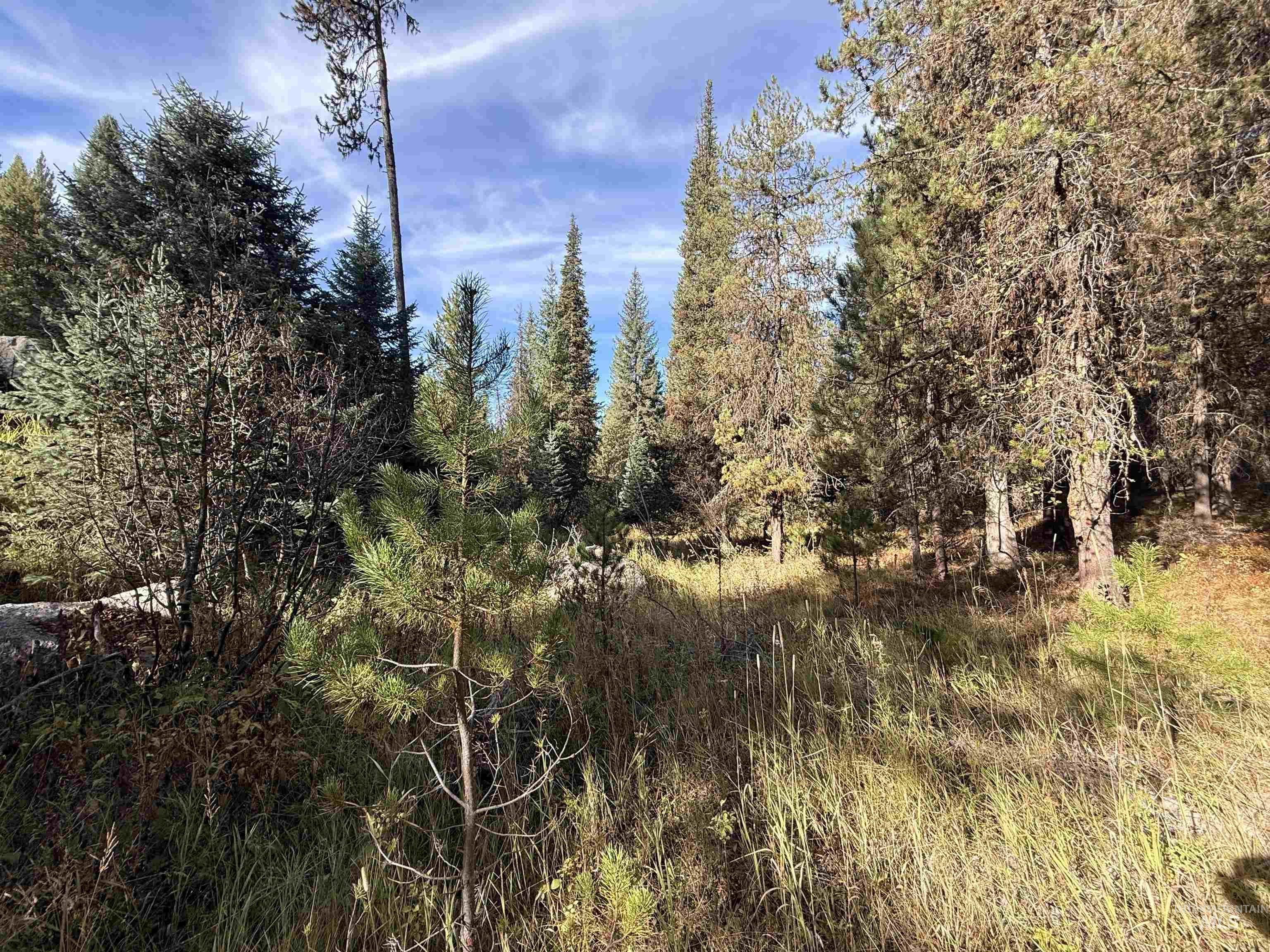 20 Laurins Lane, Cascade, Idaho 83611, Land For Sale, Price $179,000,MLS 99002273