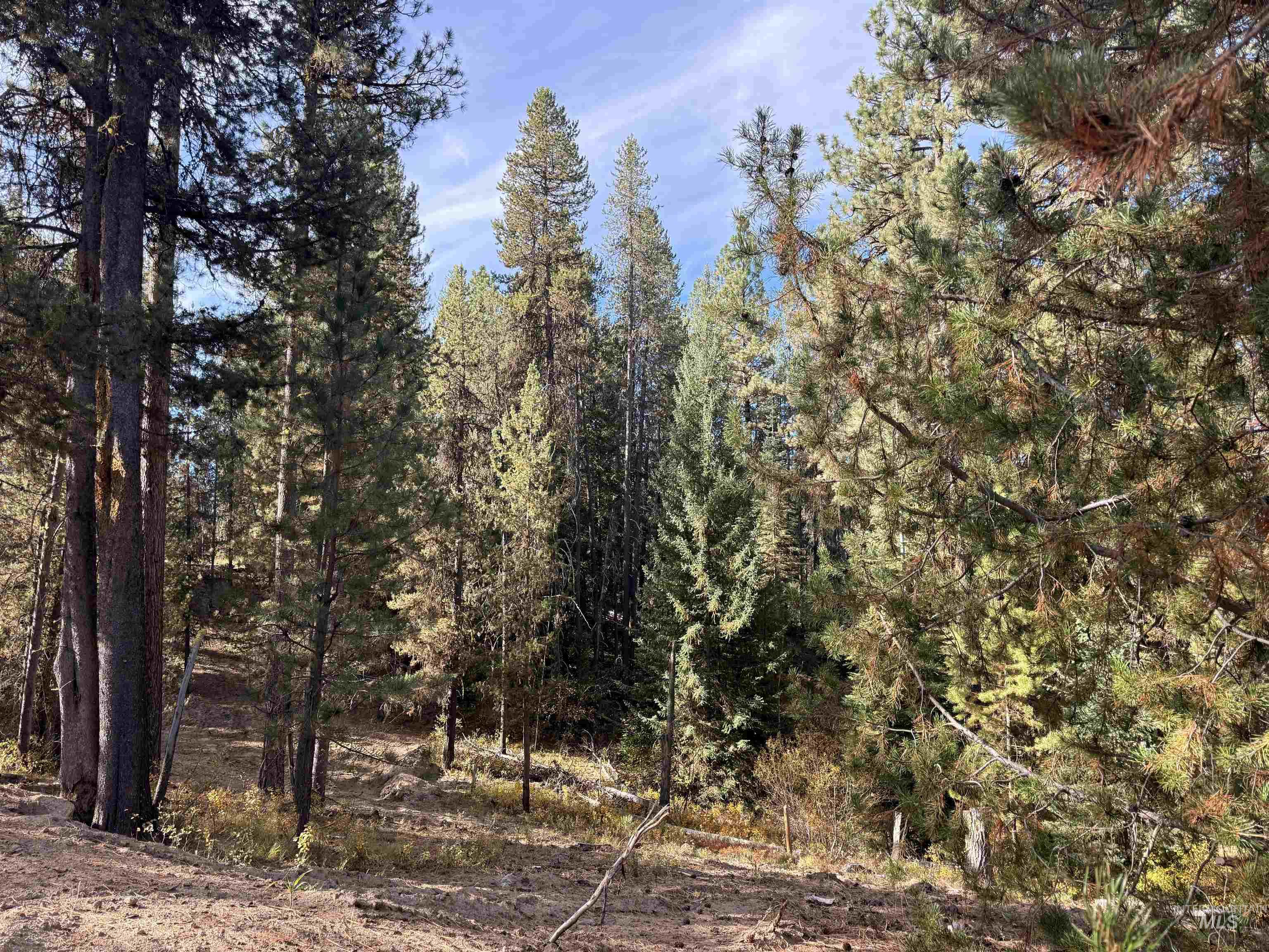 34 Laurins Lane, Cascade, Idaho 83611, Land For Sale, Price $329,000,MLS 99002274