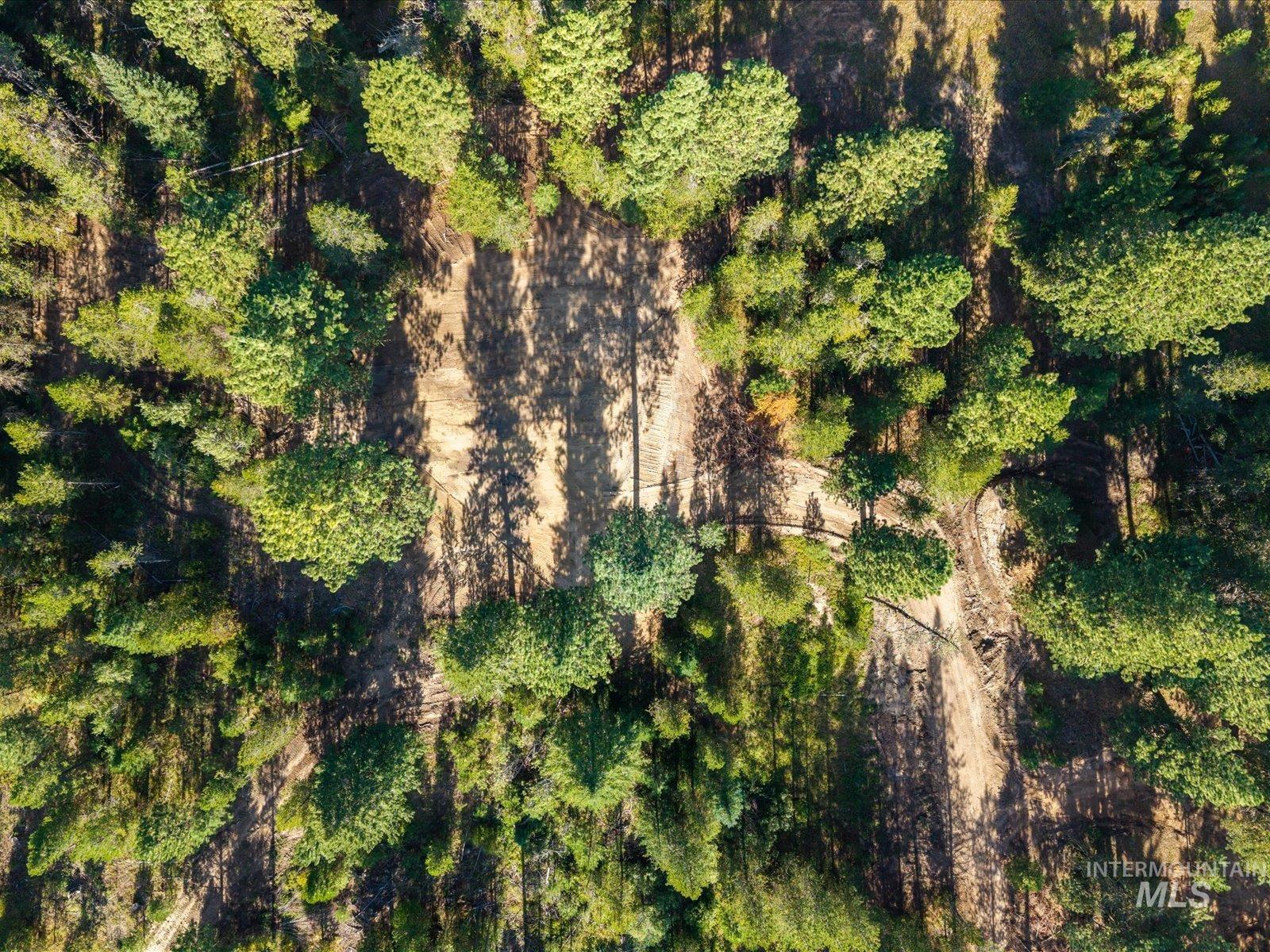 34 Laurins Lane, Cascade, Idaho 83611, Land For Sale, Price $329,000,MLS 99002274