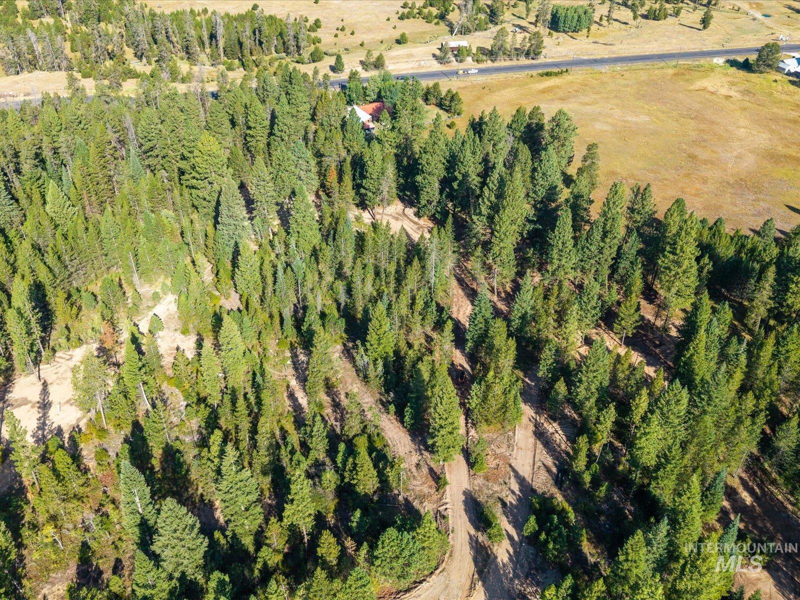 34 Laurins Lane, Cascade, Idaho 83611, Land For Sale, Price $329,000,MLS 99002274