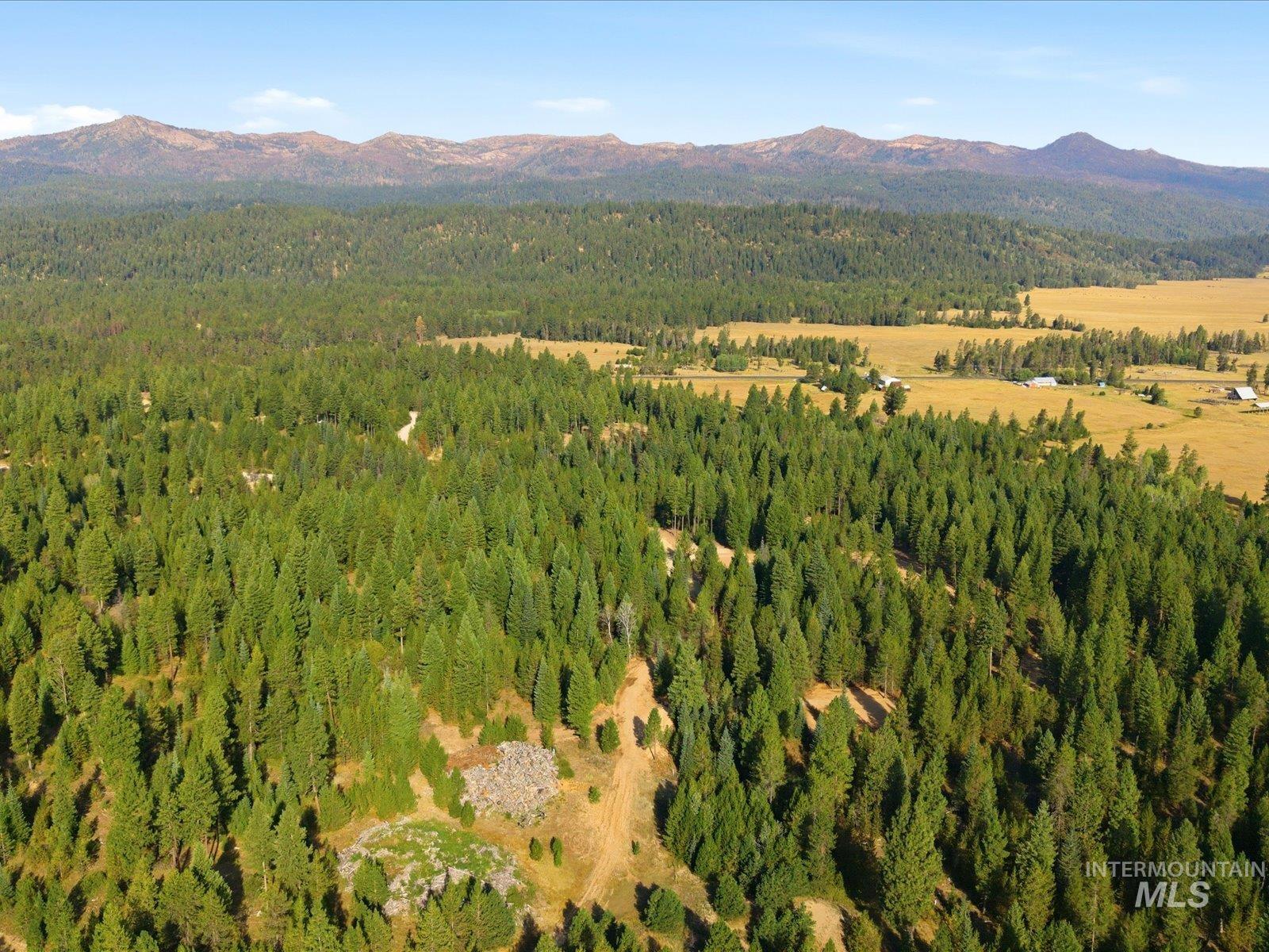 70 Laurins Lane, Cascade, Idaho 83611, Land For Sale, Price $199,000,MLS 99002277