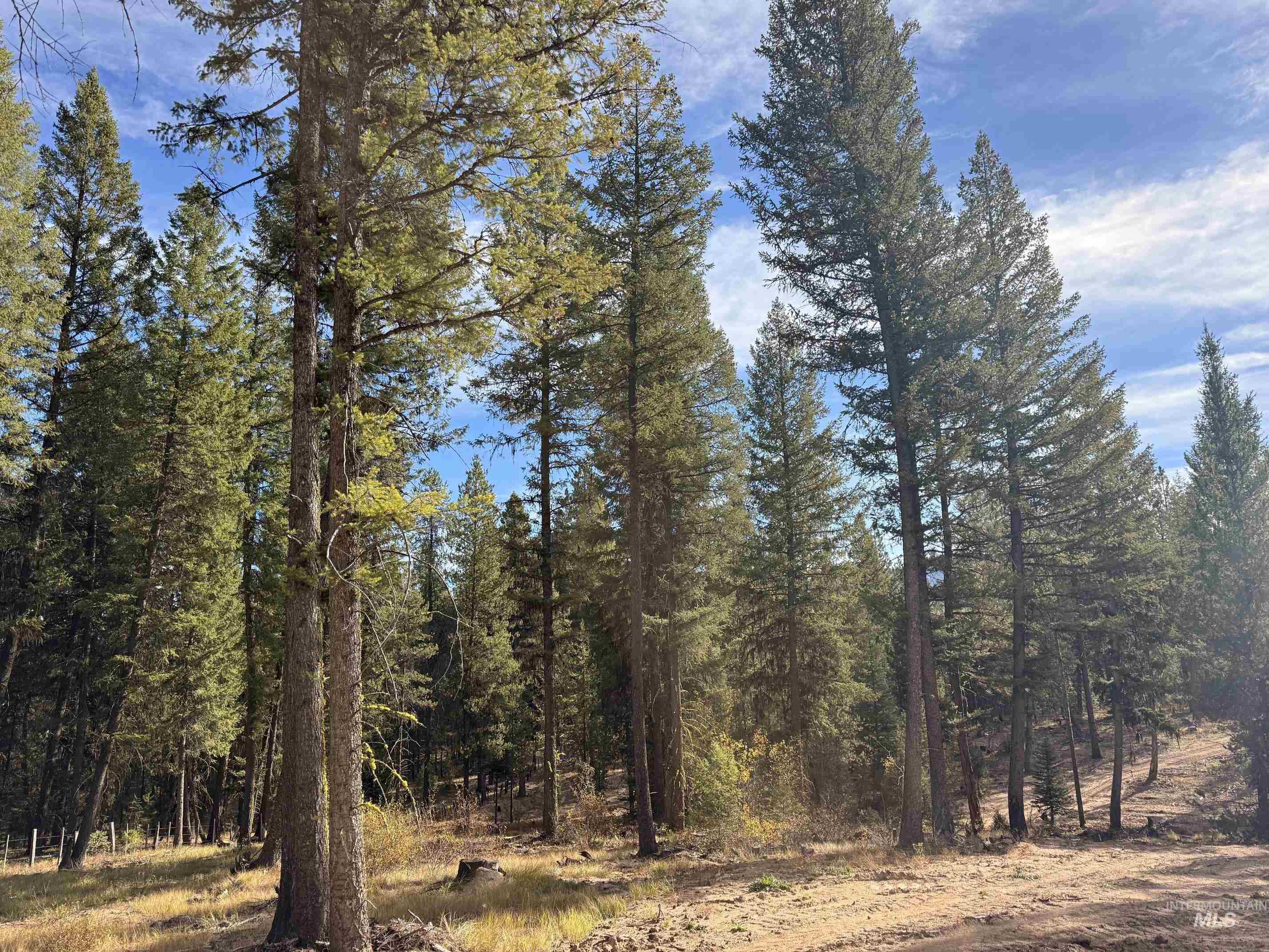 70 Laurins Lane, Cascade, Idaho 83611, Land For Sale, Price $199,000,MLS 99002277