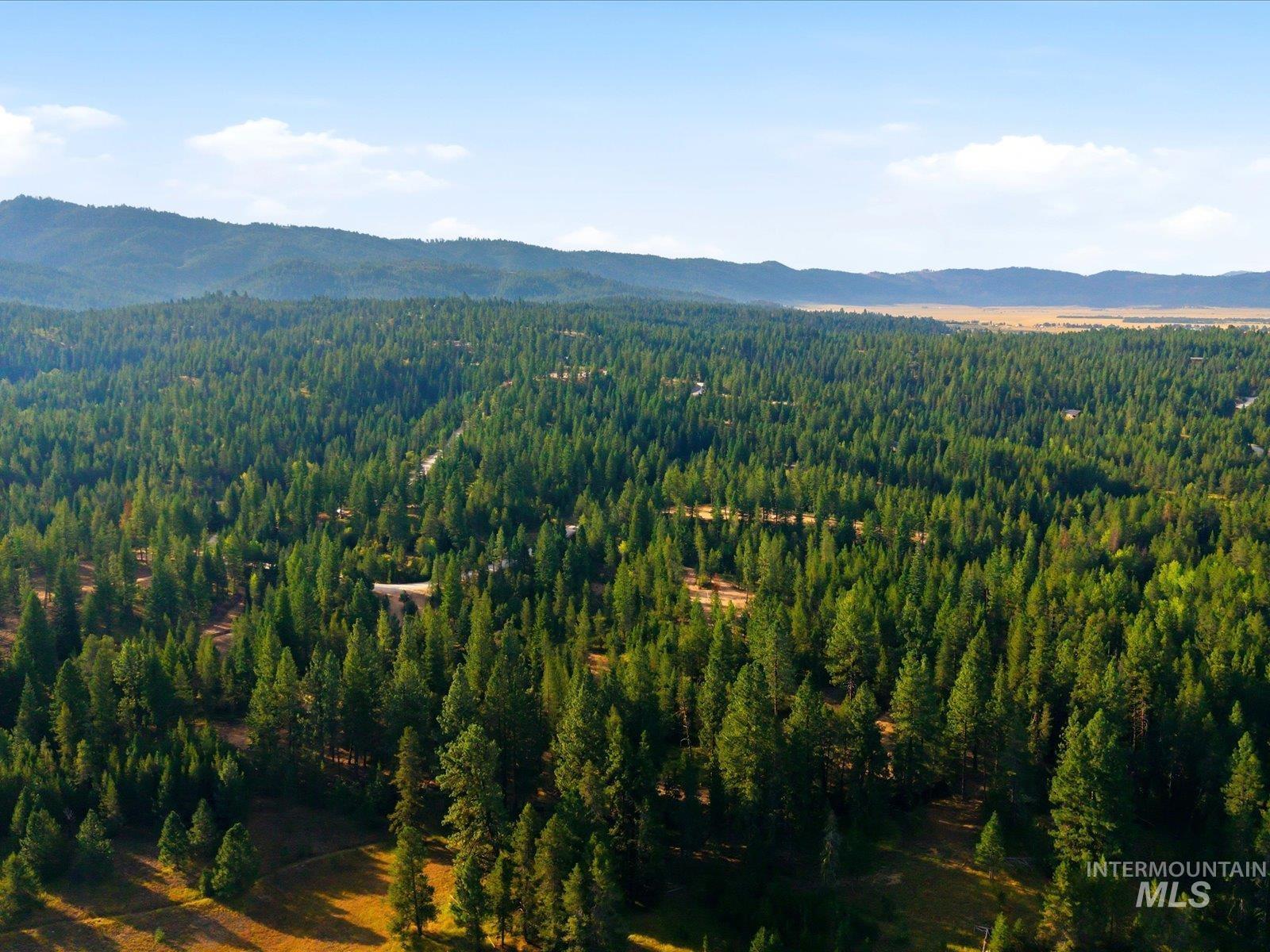 70 Laurins Lane, Cascade, Idaho 83611, Land For Sale, Price $199,000,MLS 99002277