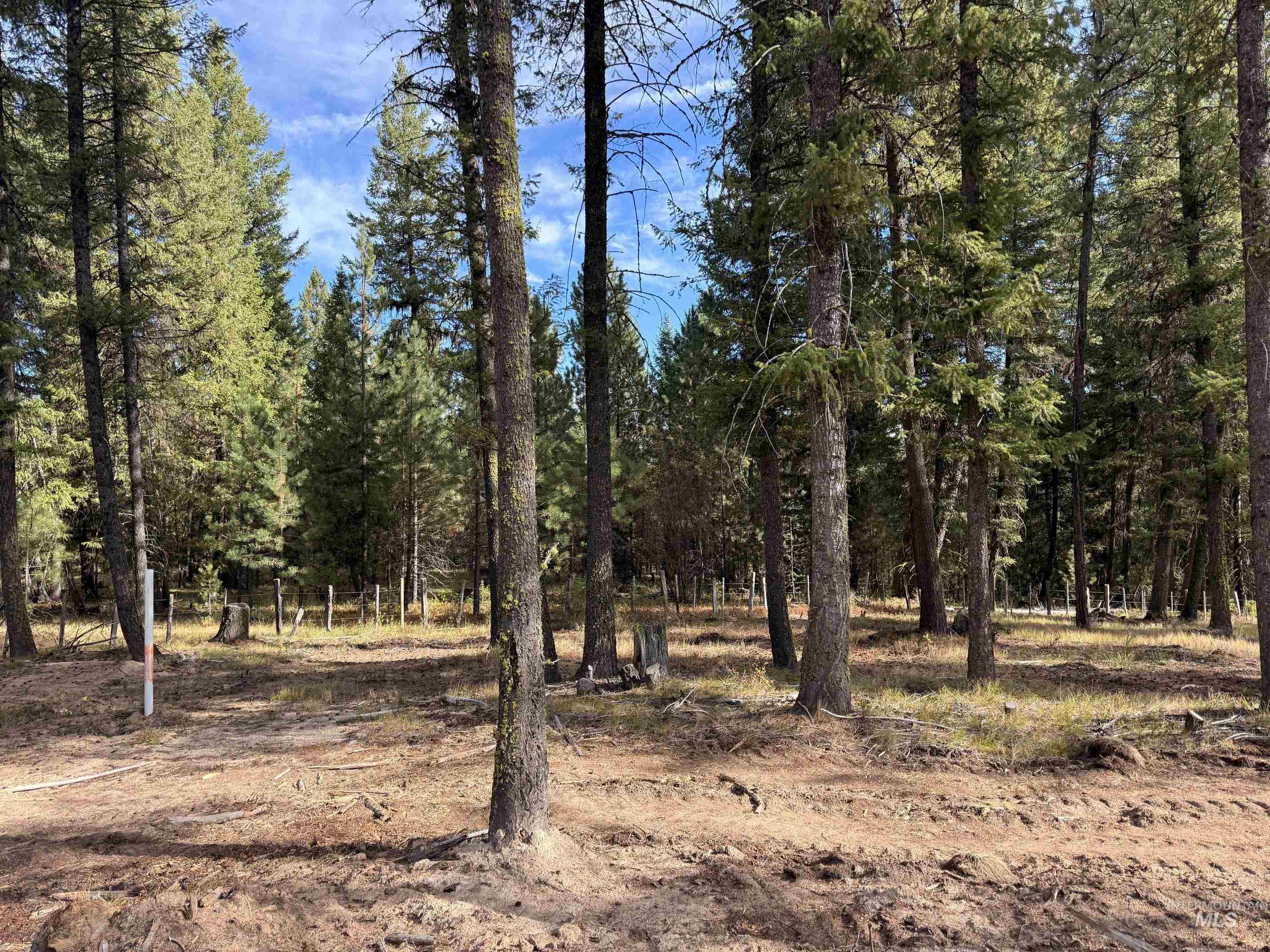 70 Laurins Lane, Cascade, Idaho 83611, Land For Sale, Price $199,000,MLS 99002277