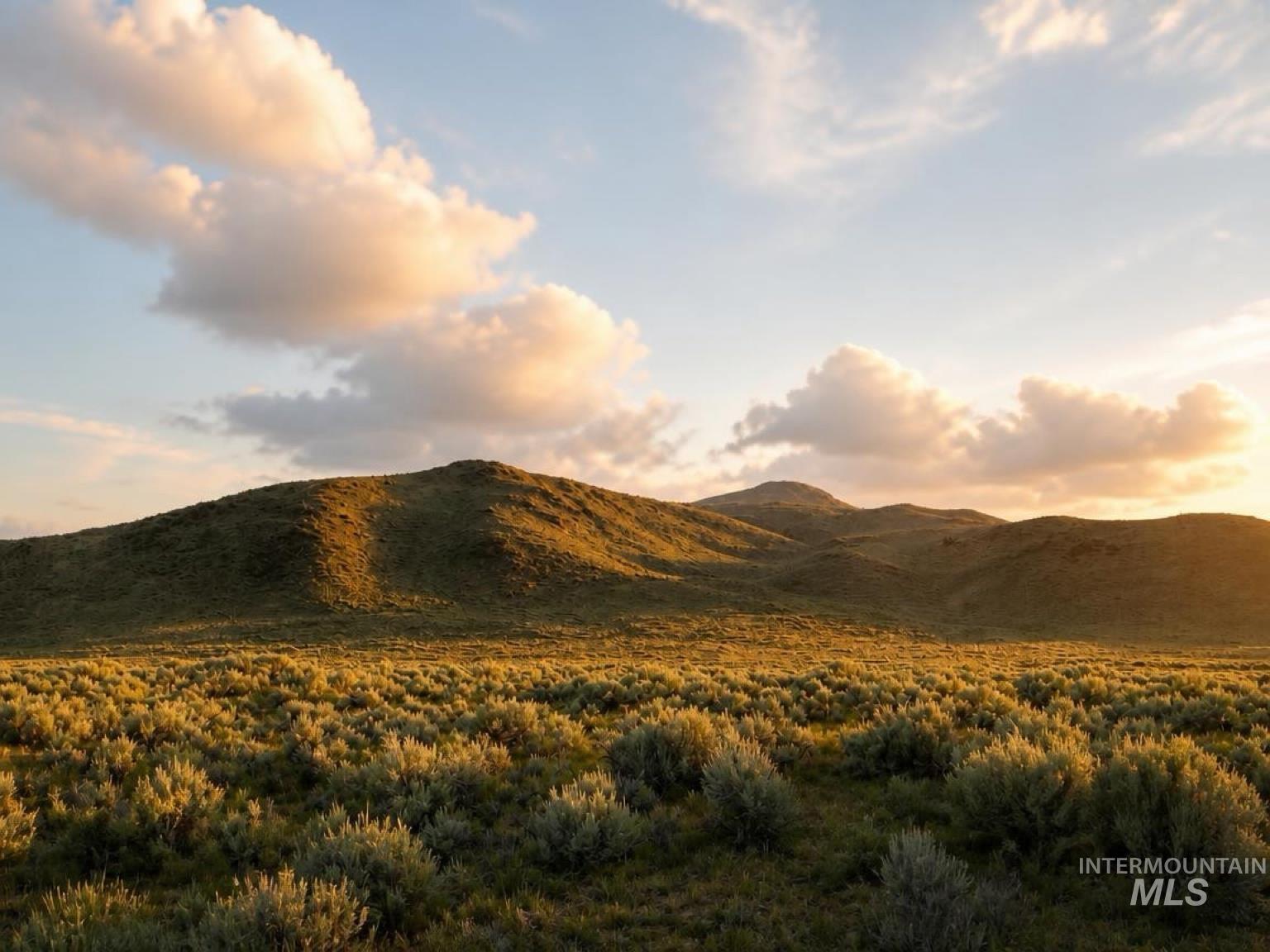 502 Austin Rd., Carey, Idaho 83320, 4 Bedrooms, 2 Bathrooms, Farm & Ranch For Sale, Price $5,000,000,MLS 99002299
