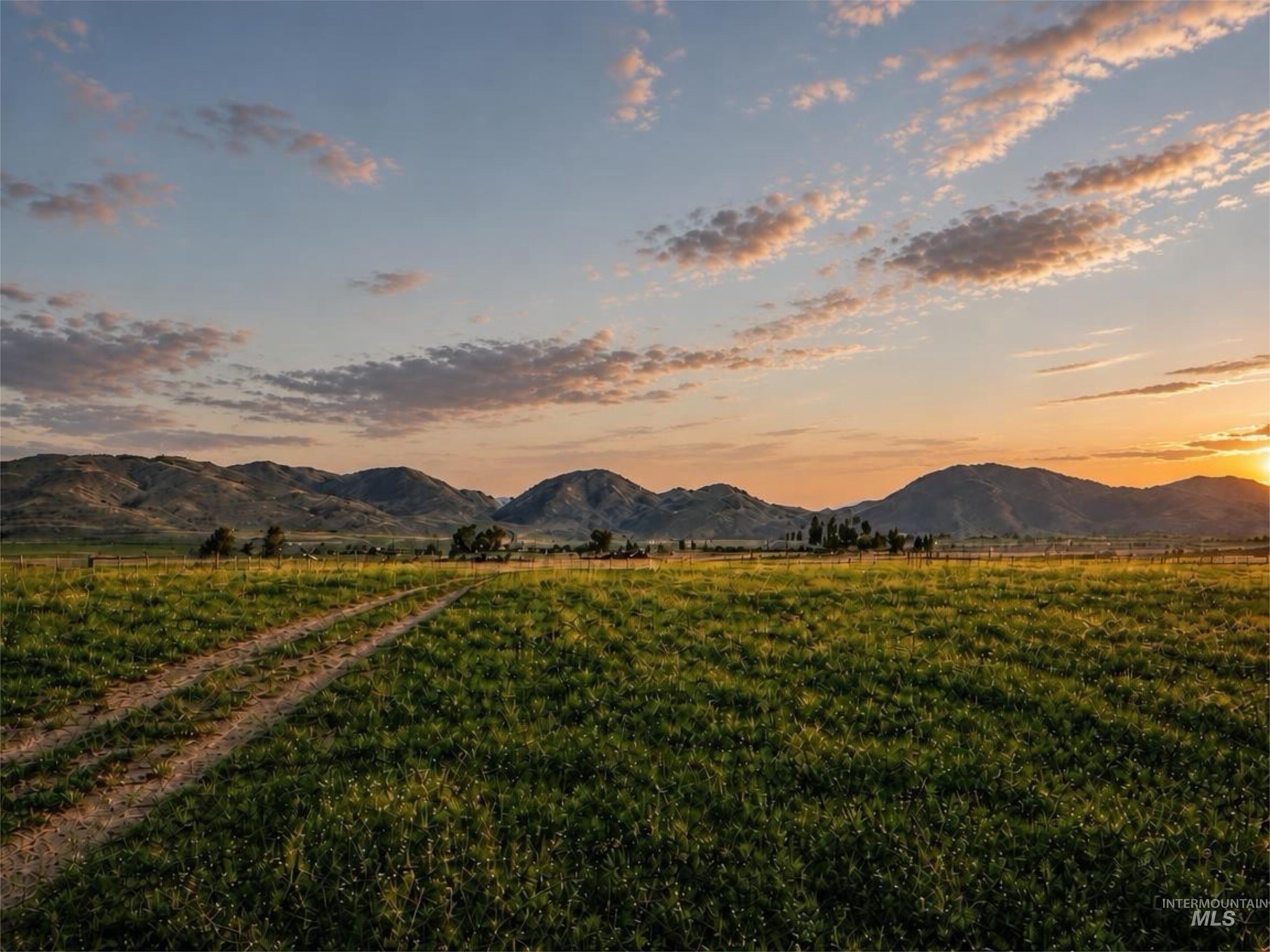 502 Austin Rd., Carey, Idaho 83320, 4 Bedrooms, 2 Bathrooms, Farm & Ranch For Sale, Price $5,000,000,MLS 99002299