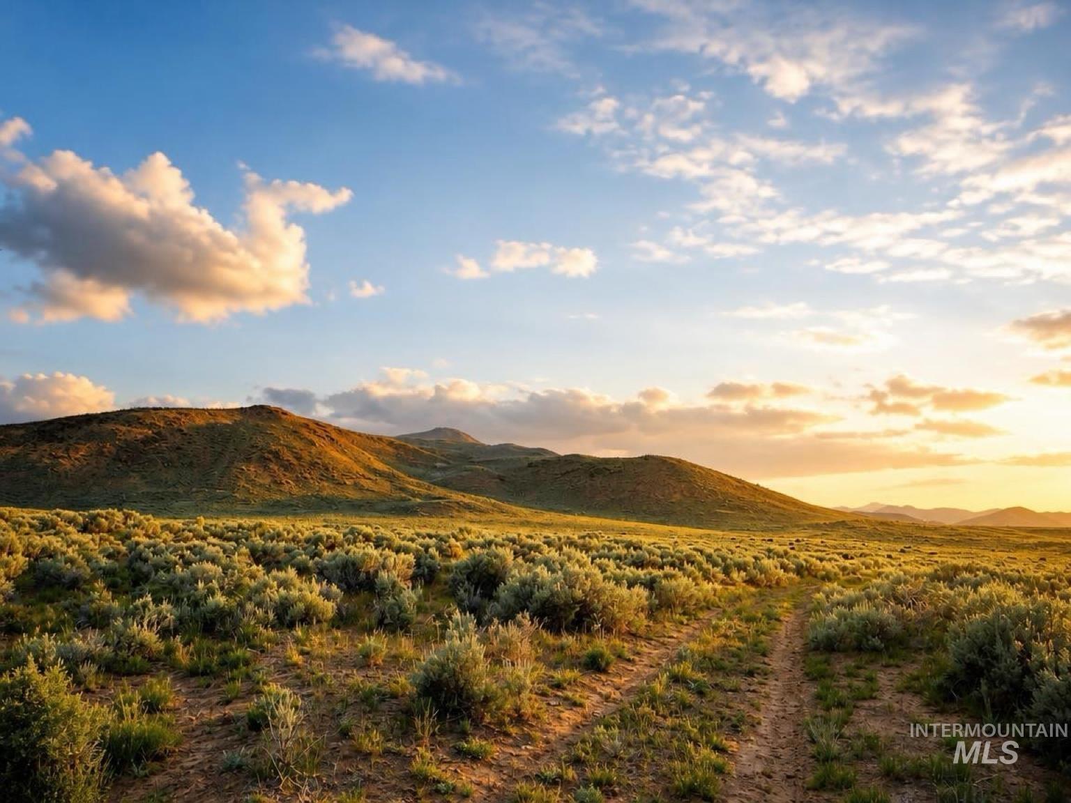 502 Austin Rd., Carey, Idaho 83320, 4 Bedrooms, 2 Bathrooms, Farm & Ranch For Sale, Price $5,000,000,MLS 99002299