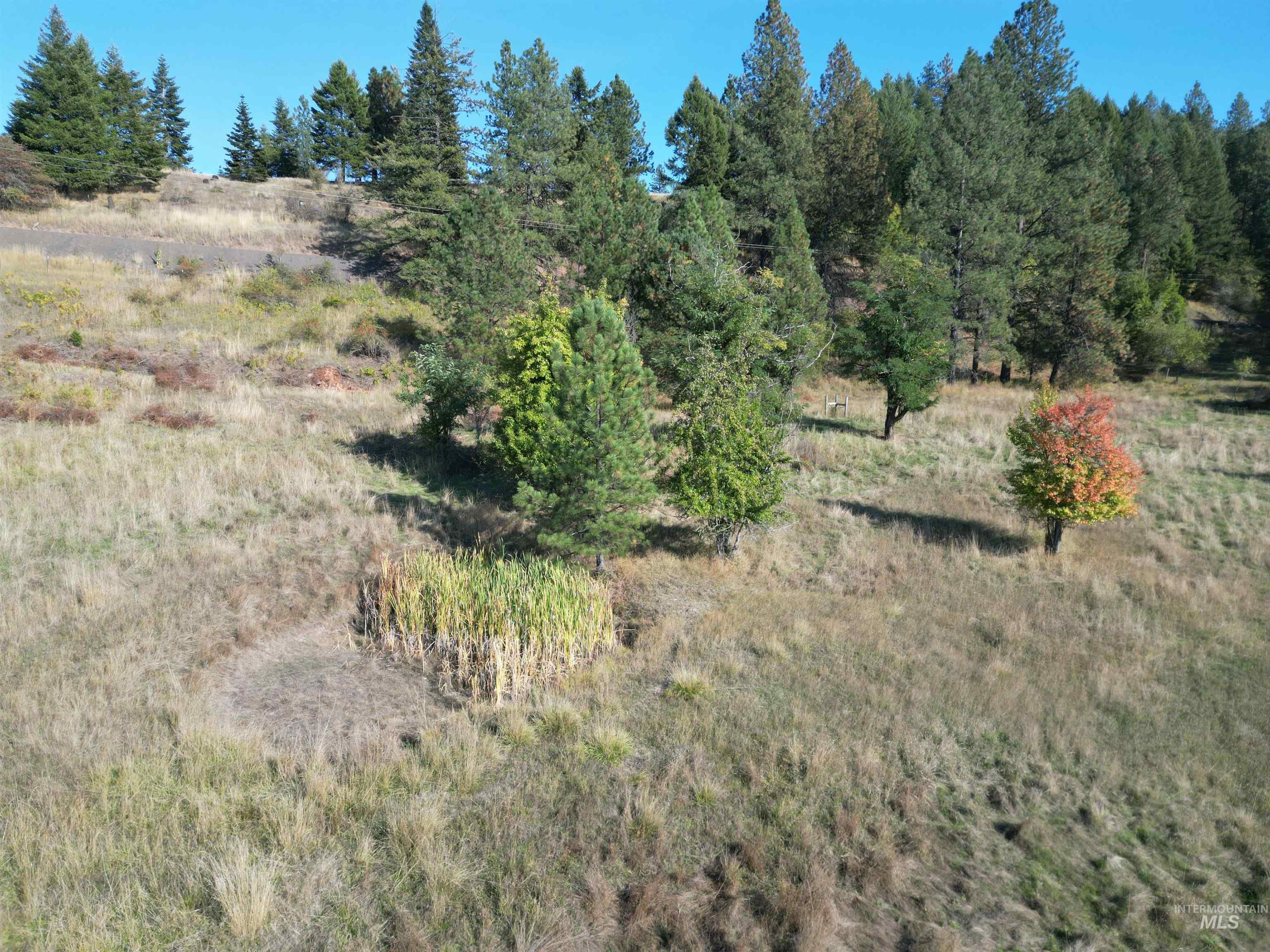 4099 Lakeview Road, Orofino, Idaho 83544, 2 Bedrooms, 2 Bathrooms, Residential For Sale, Price $325,000,MLS 99002304