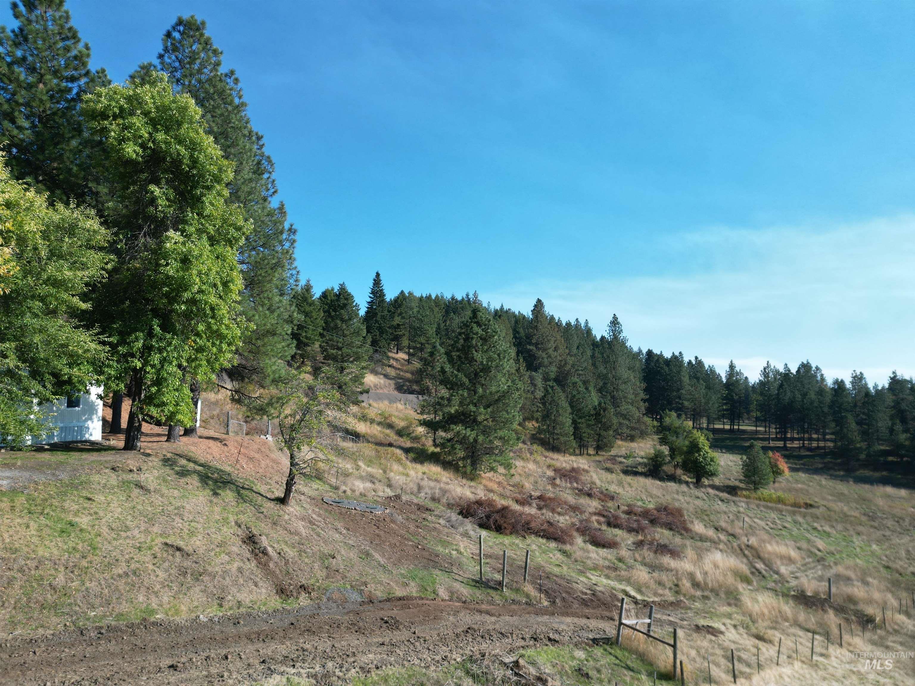 4099 Lakeview Road, Orofino, Idaho 83544, 2 Bedrooms, 2 Bathrooms, Residential For Sale, Price $325,000,MLS 99002304