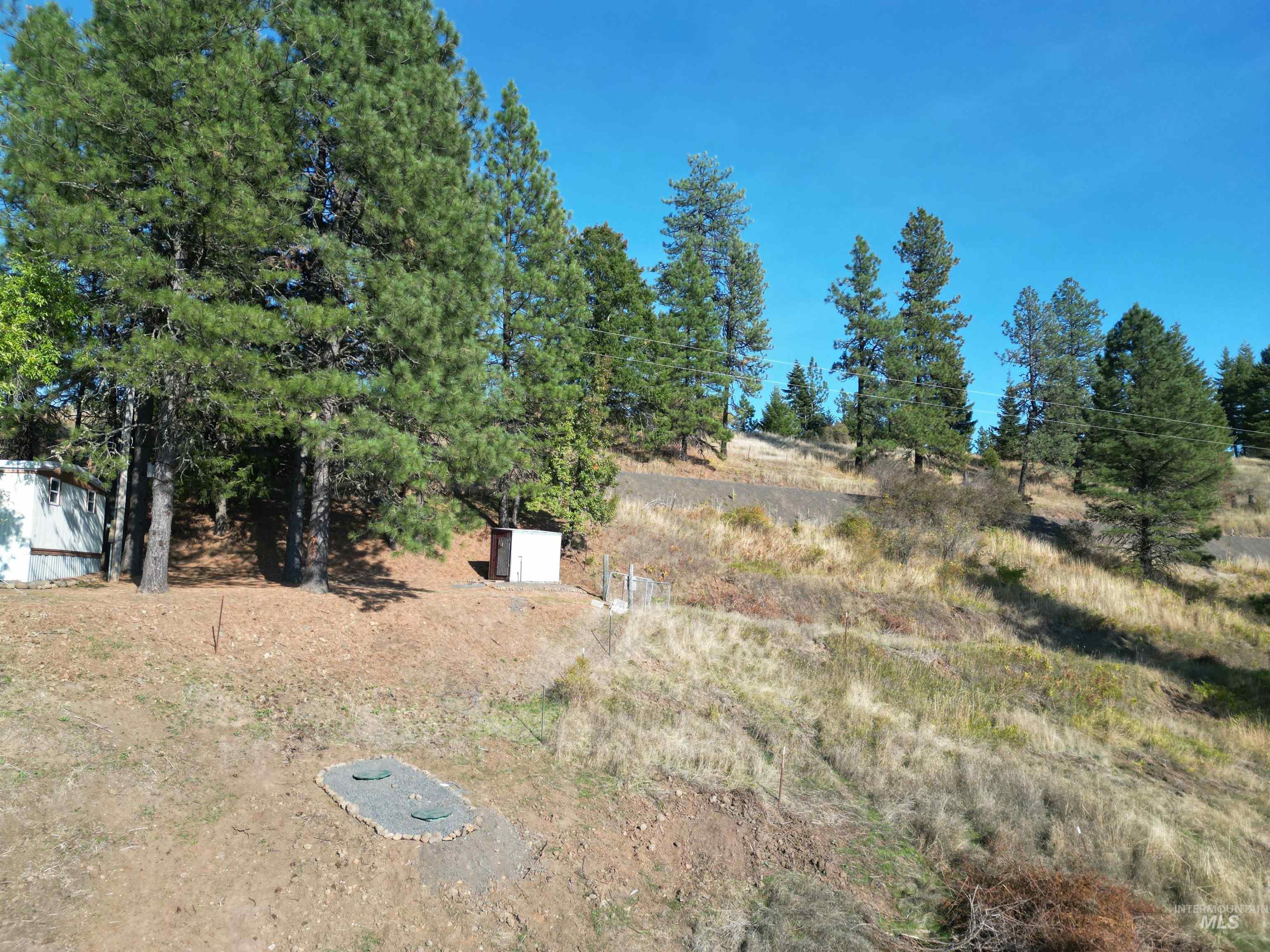 4099 Lakeview Road, Orofino, Idaho 83544, 2 Bedrooms, 2 Bathrooms, Residential For Sale, Price $325,000,MLS 99002304