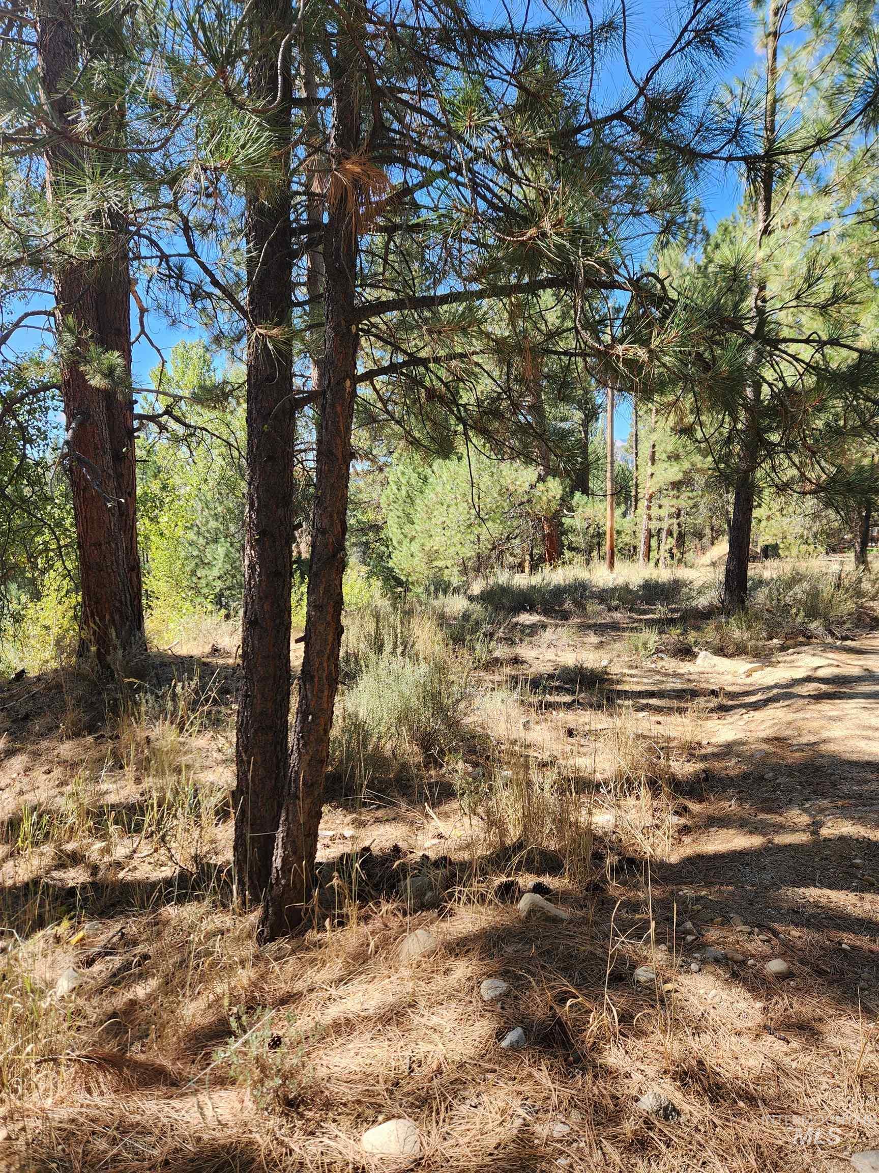 TBD E River Drive, Featherville, Idaho 83647, Land For Sale, Price $284,000, 99002407