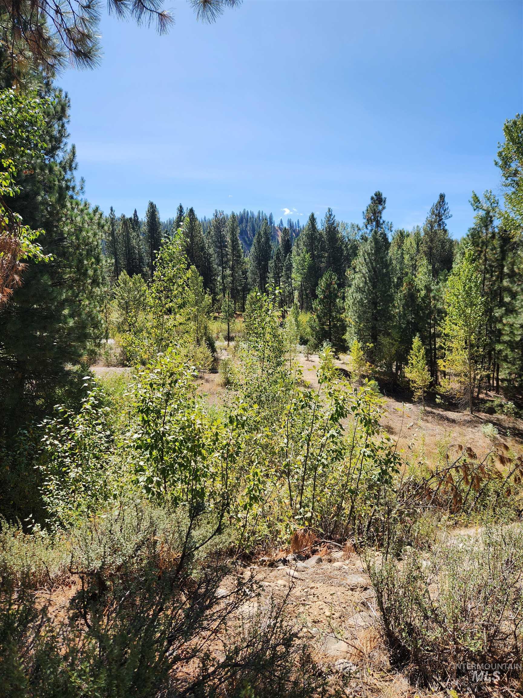 TBD E River Drive, Featherville, Idaho 83647, Land For Sale, Price $284,000, 99002407