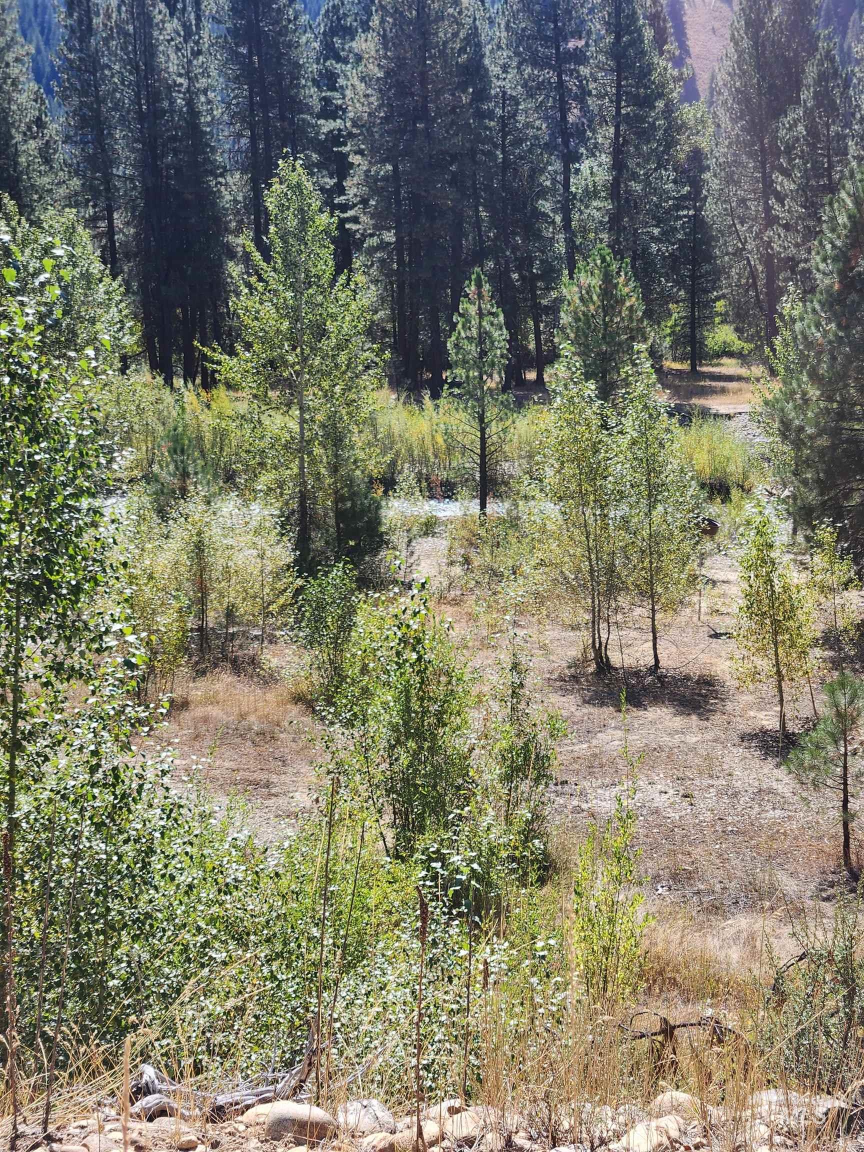 TBD E River Drive, Featherville, Idaho 83647, Land For Sale, Price $284,000, 99002407