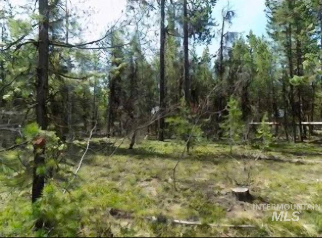 12962 Patty Dr., Donnelly, Idaho 83615, Land For Sale, Price $230,000, 99002419